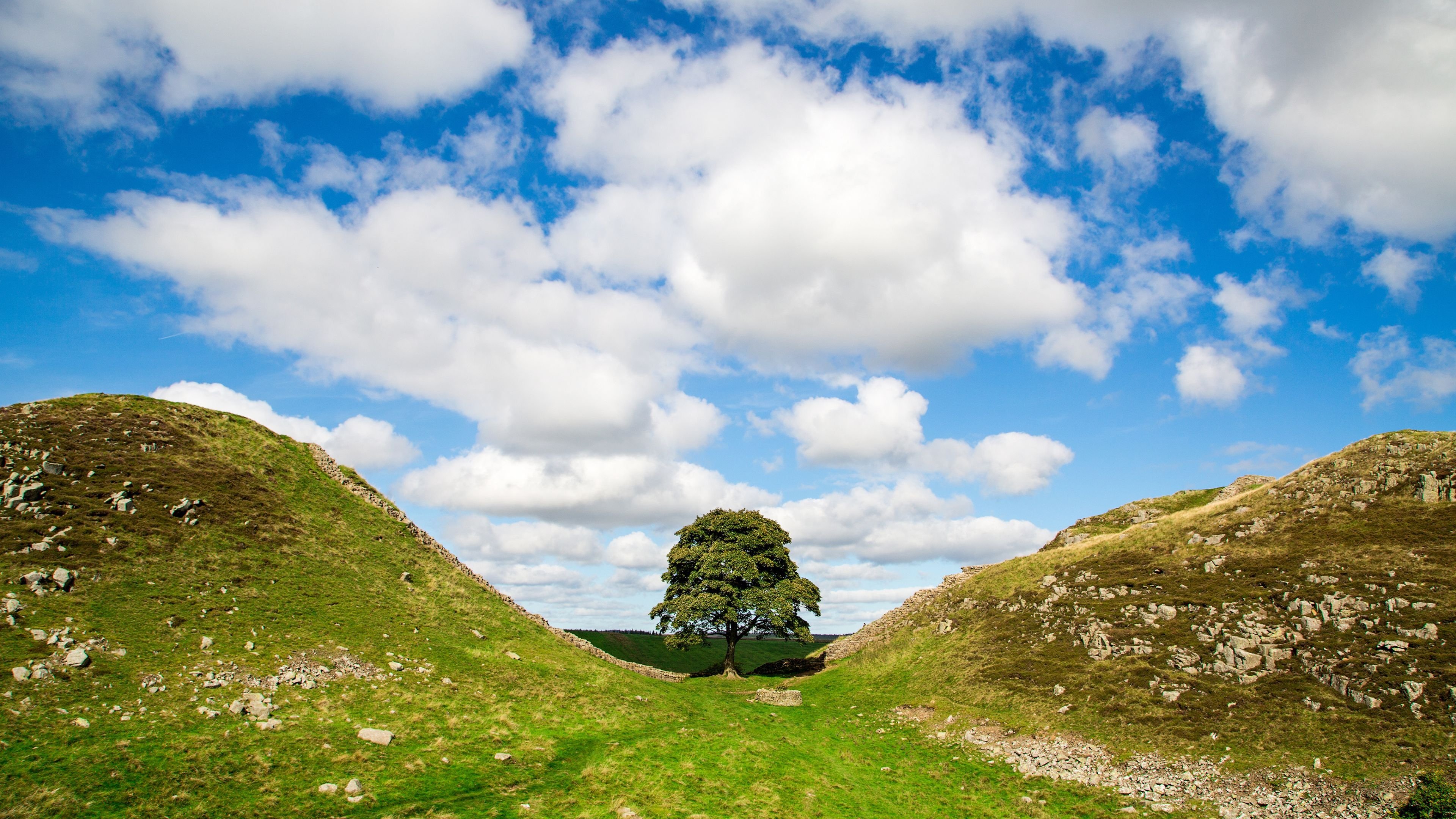 An Unbridgeable Gap (2025)