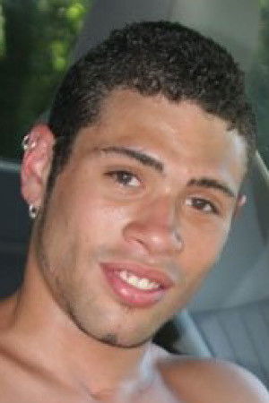 et billede af Glasius Ice