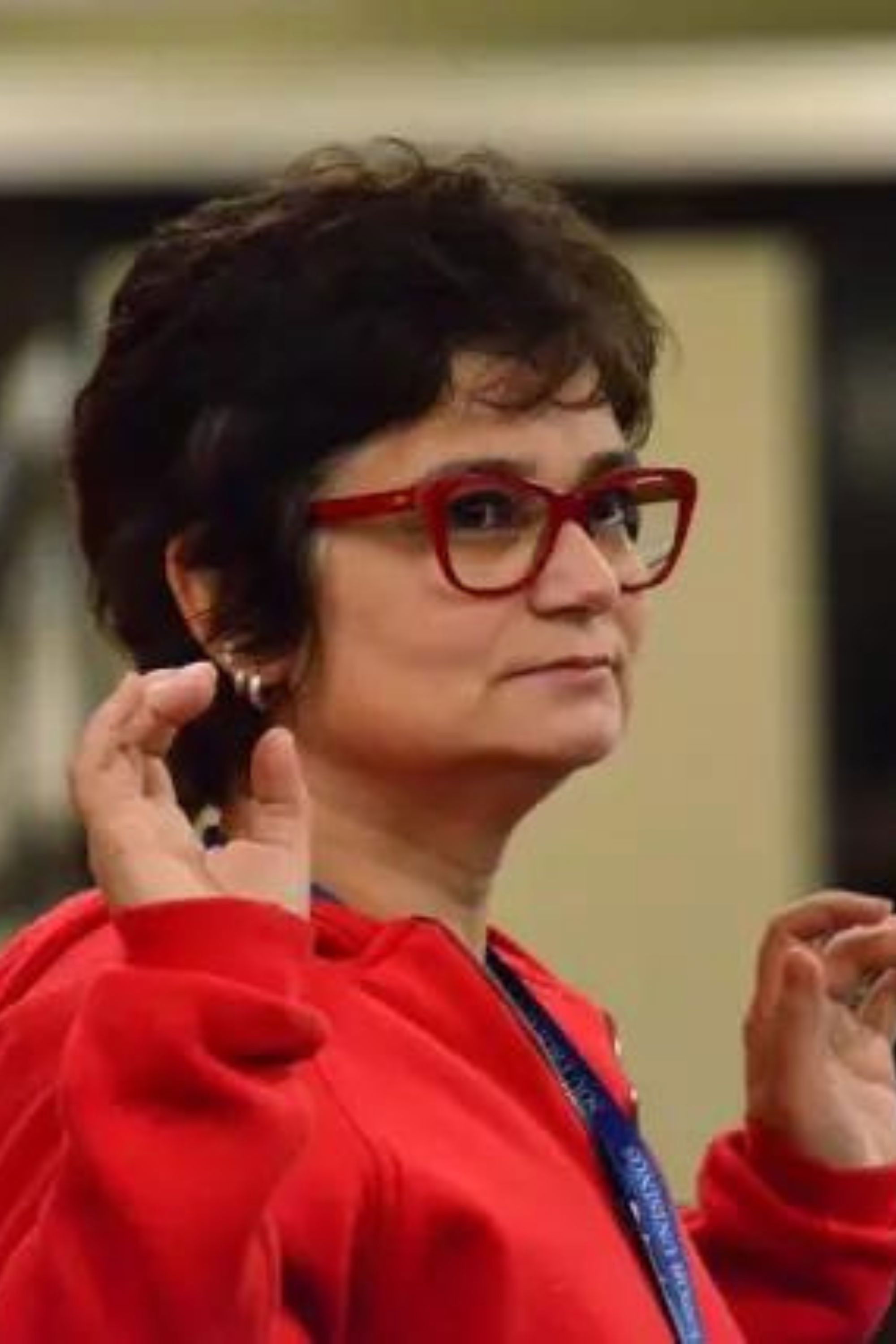 et billede af Lisiane Cohen