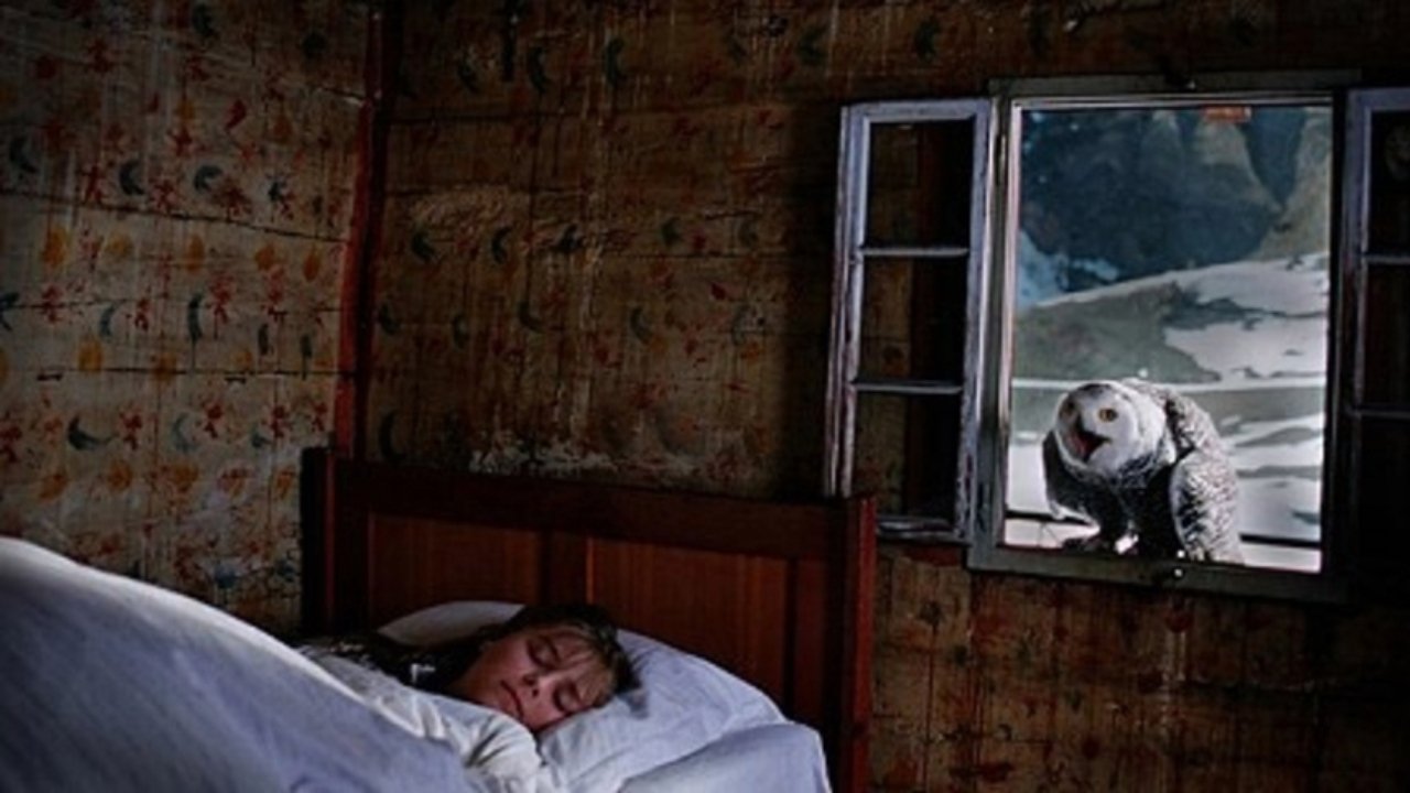 Winter Silence (2008)
