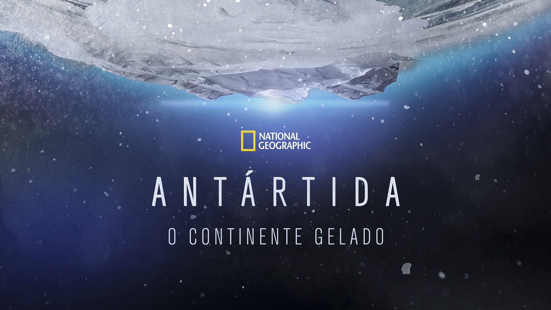 Continent 7: Antarctica
