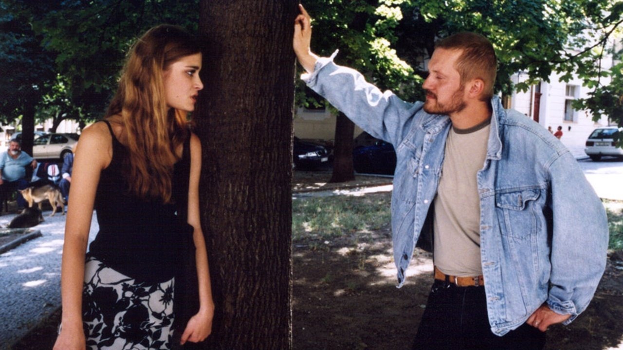 Vražda kočky domácí (2004)