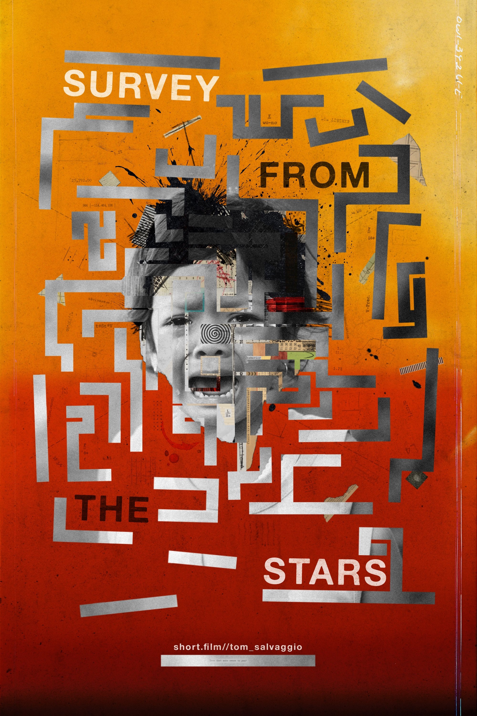 Survey From The Stars
