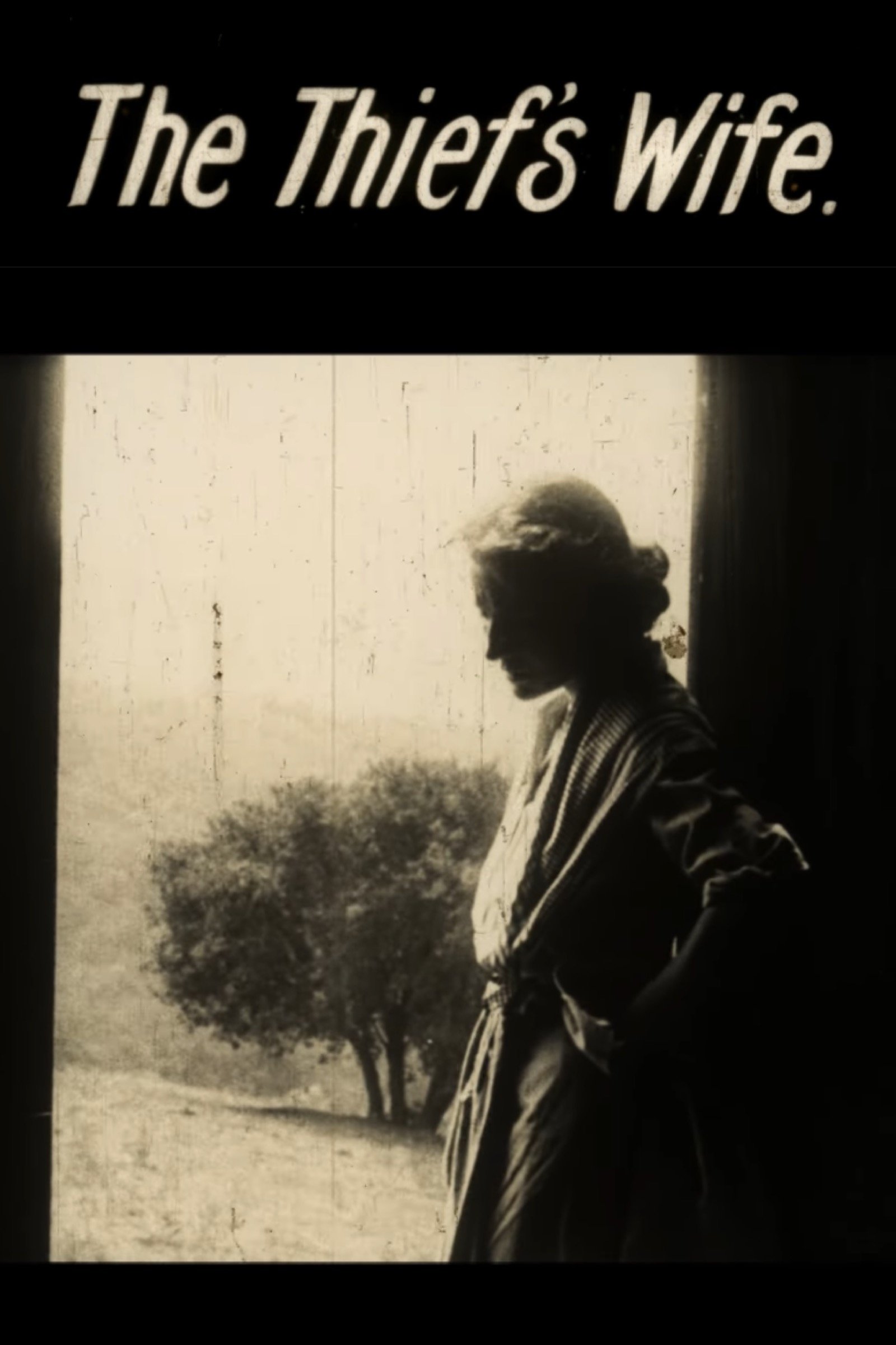The Thief's Wife