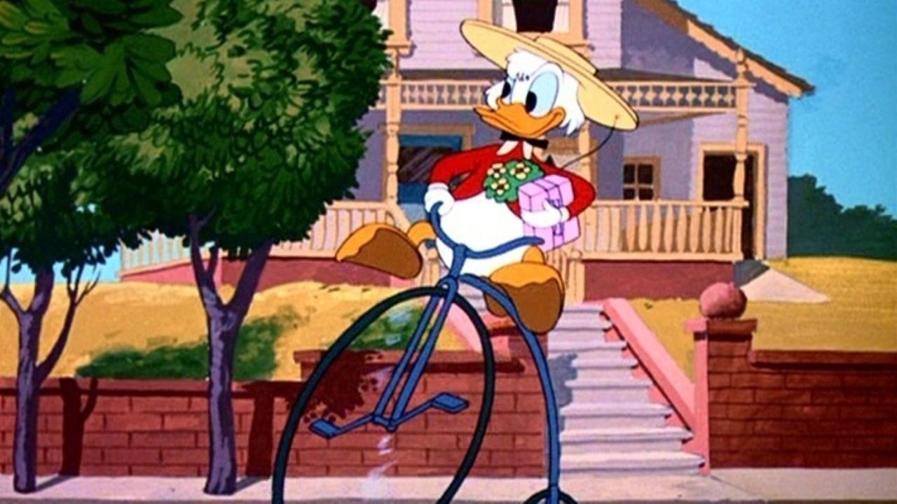 Crazy Over Daisy (1950)