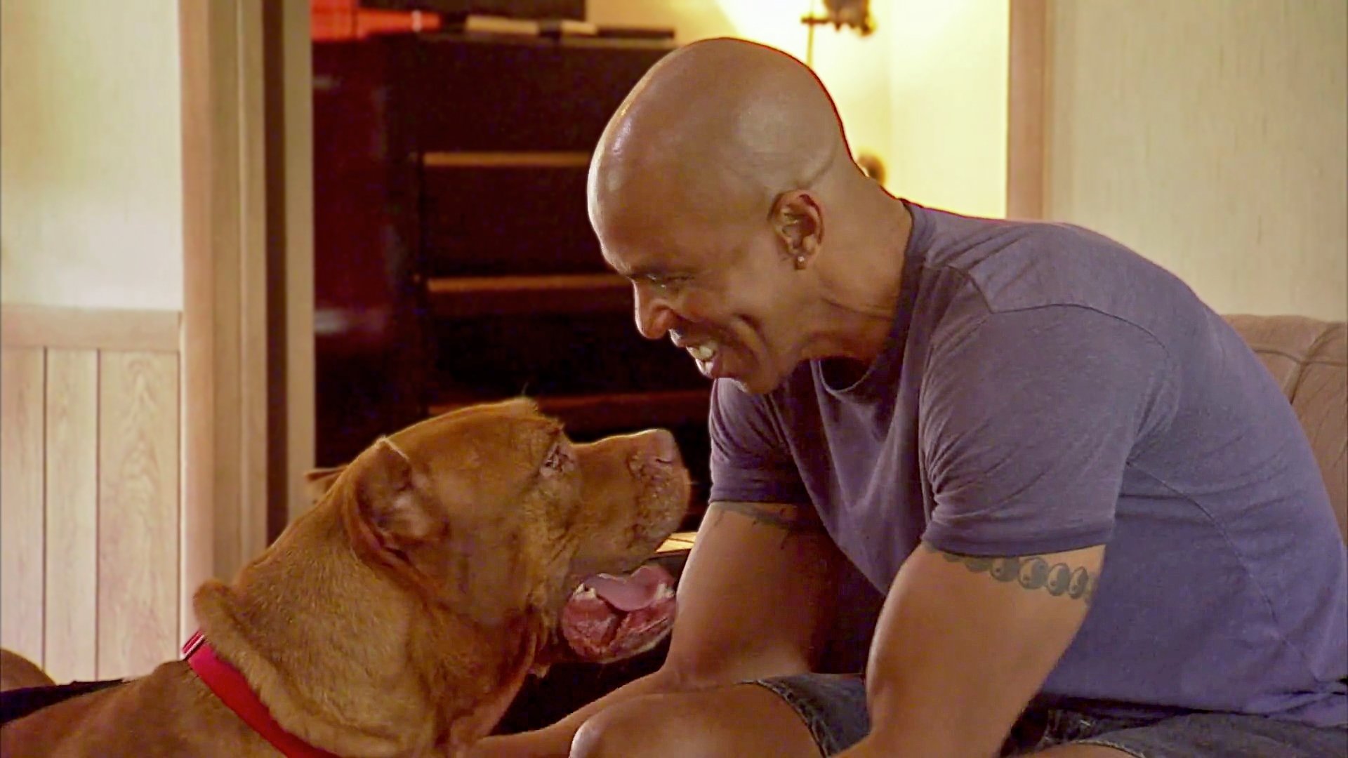 Pitbulls et prisonniers - Épisode 11