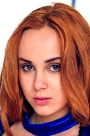 et billede af Red Bird