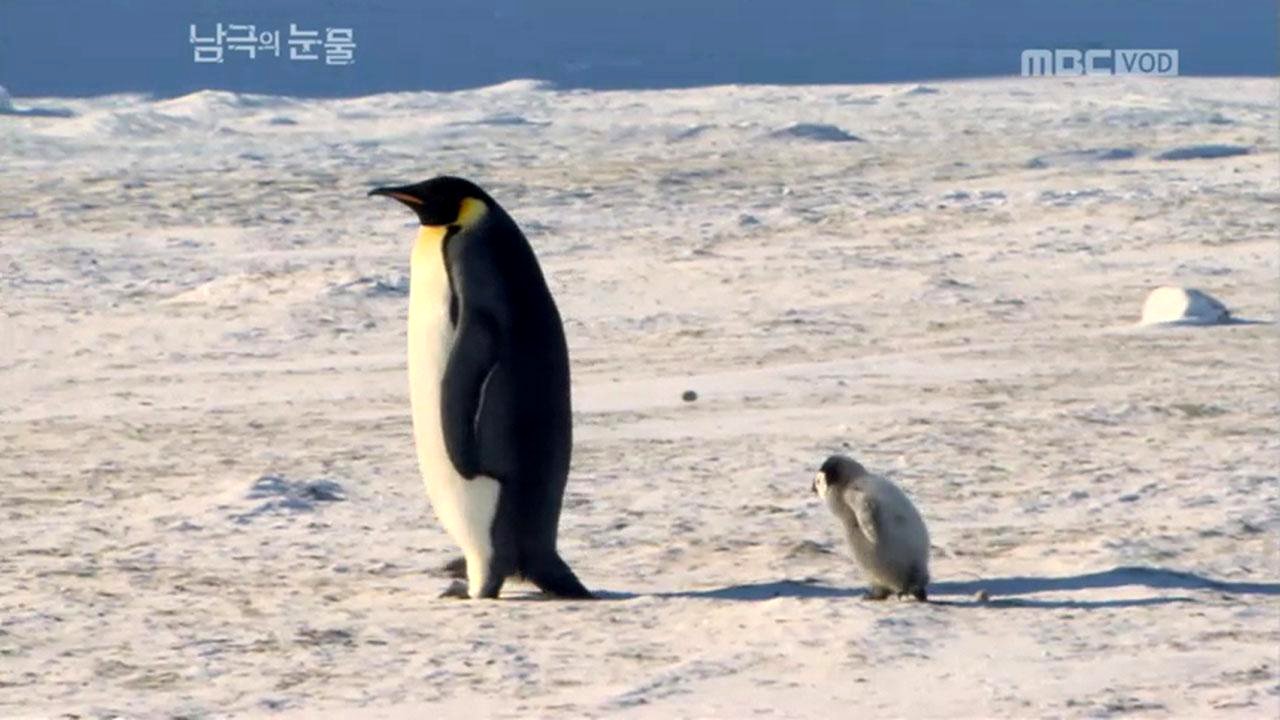Au cœur du paradis blanc - Épisode 6