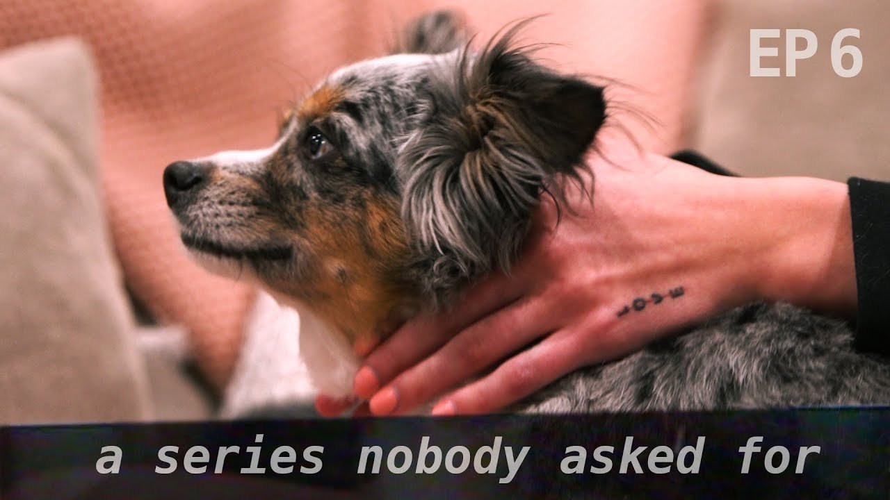 Episode 6