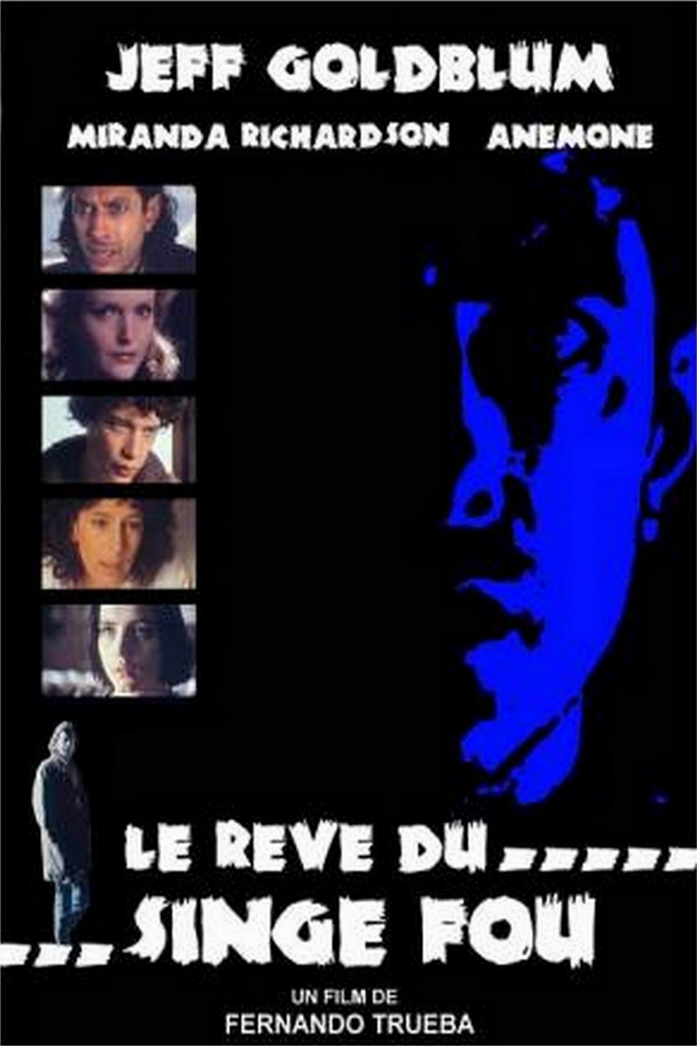 Movie image of : Le Rêve du singe fou