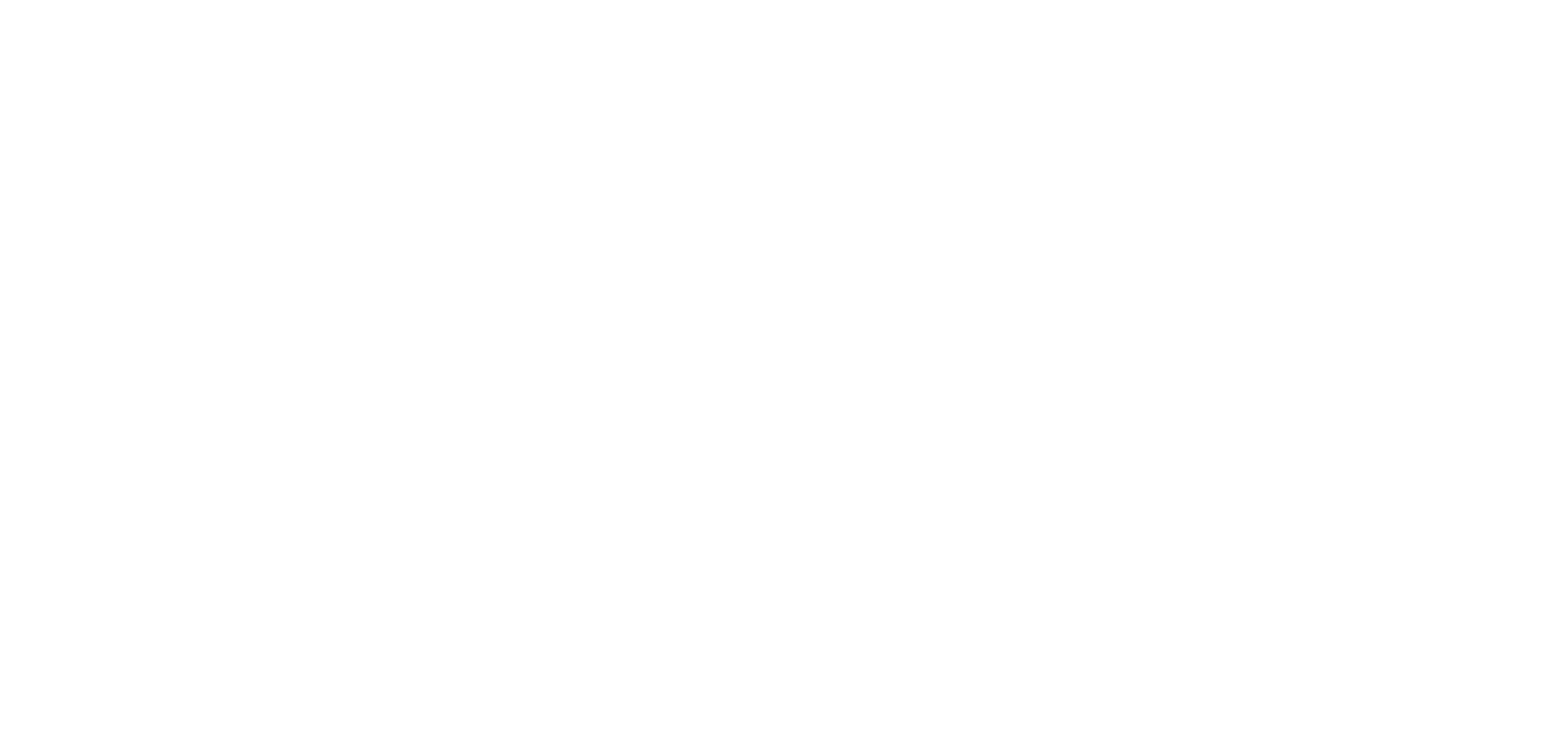 El chico y la garza