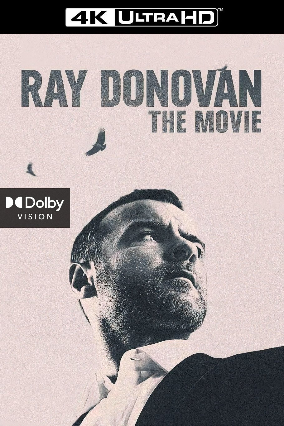 Ray Donovan: The Movie