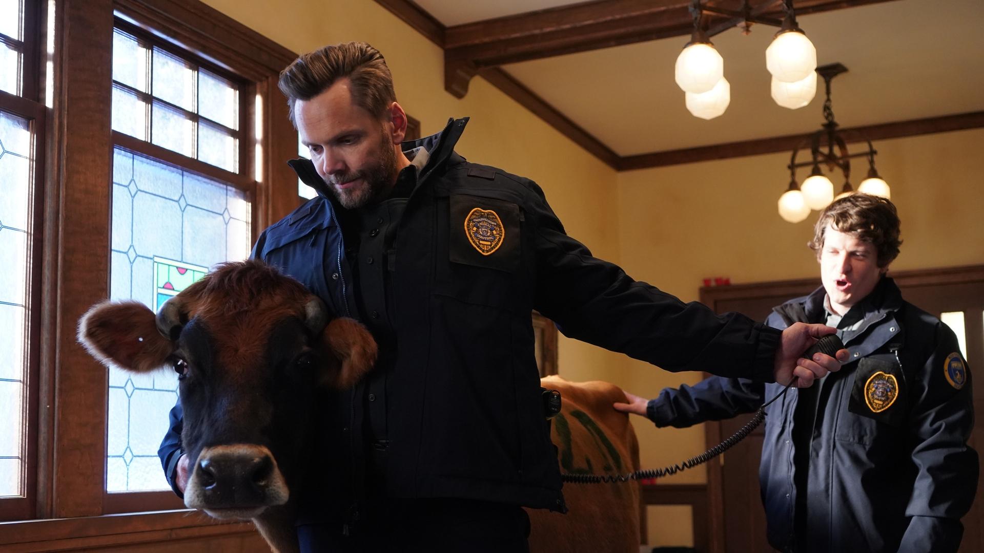 Animal Control