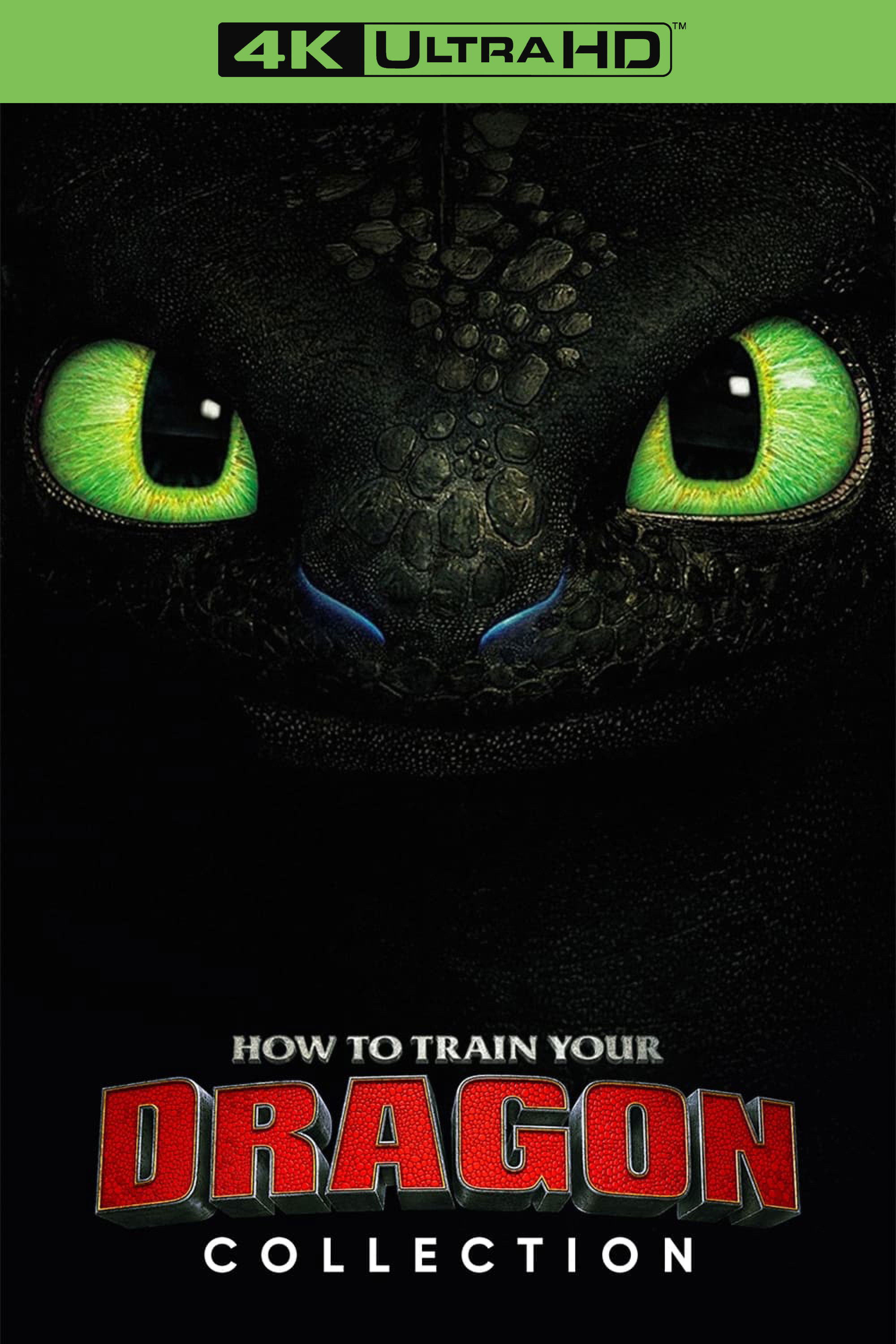 新品未使用 How to Train Your Dragon 12冊 英語 洋書 洋書 how to train