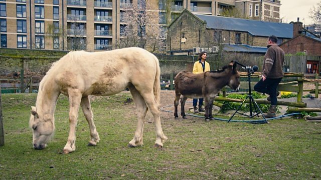 Countryfile 33x16