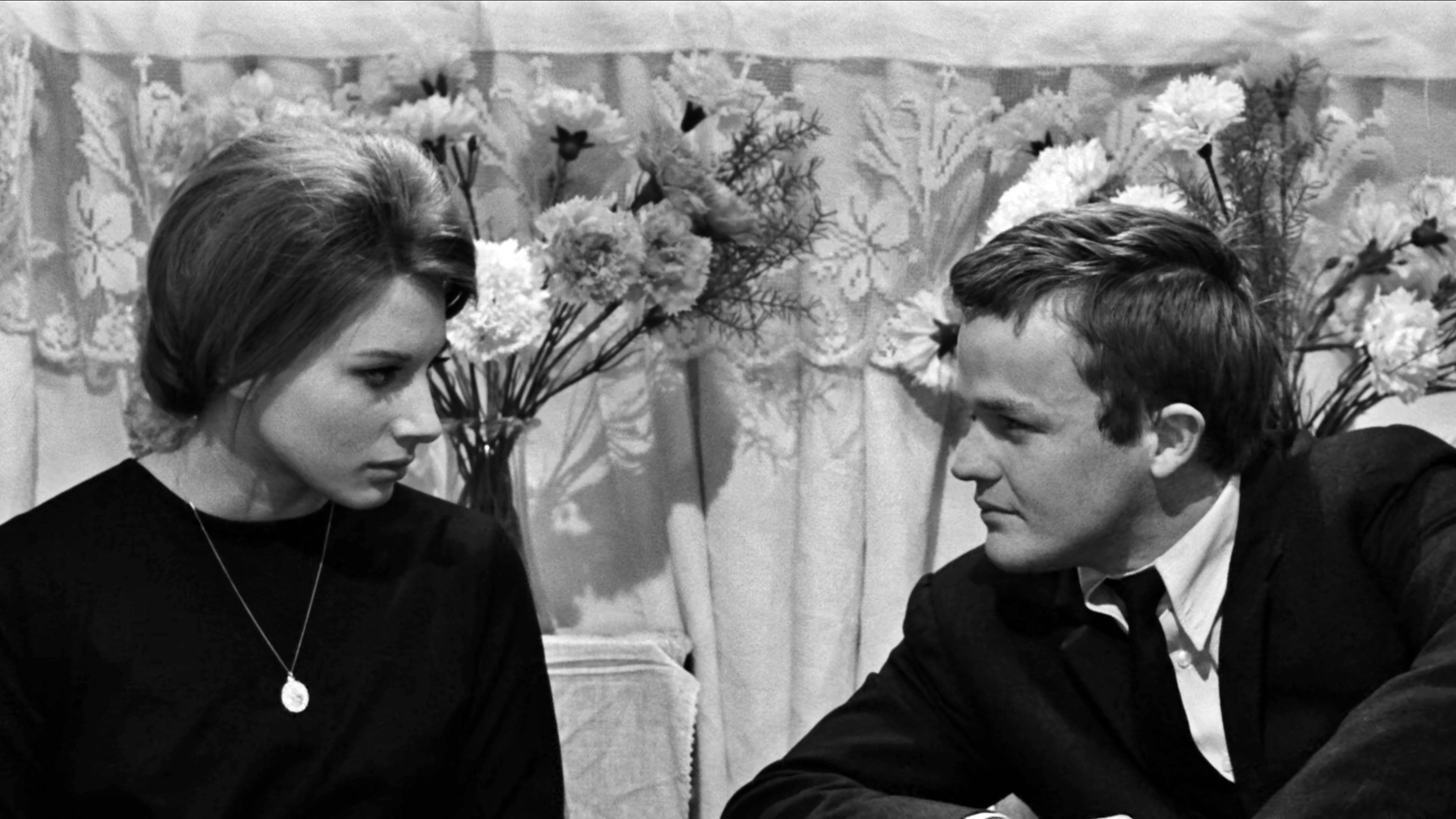 Fists in the Pocket (1965)