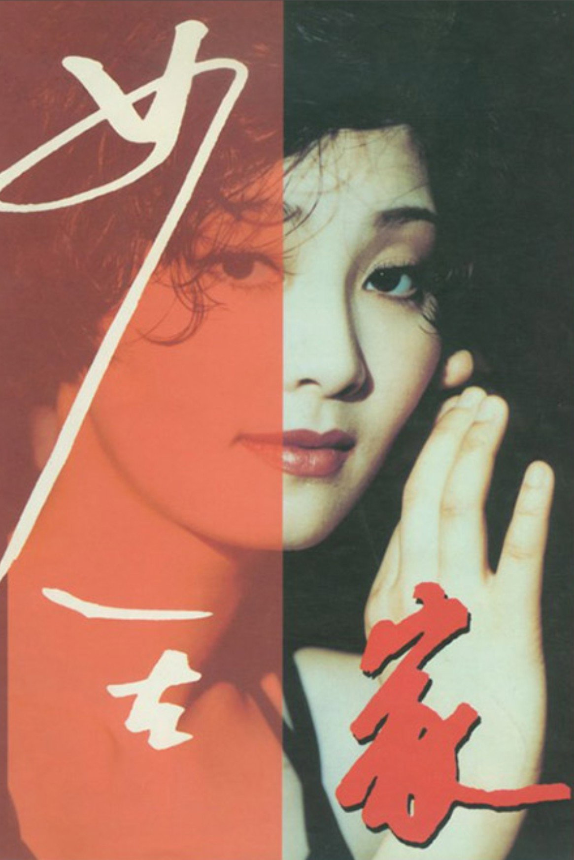 女人在家 Poster
