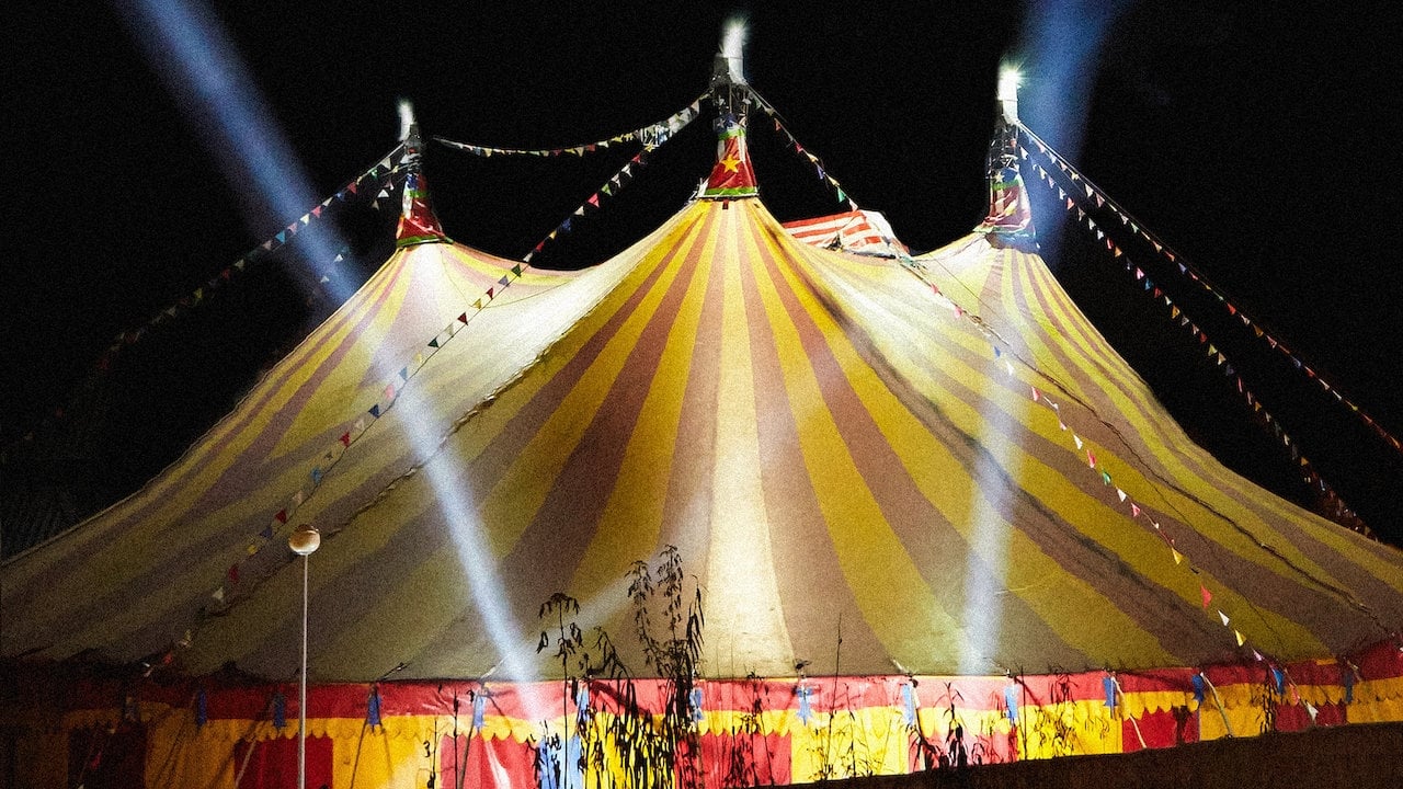 The Circus (2018)