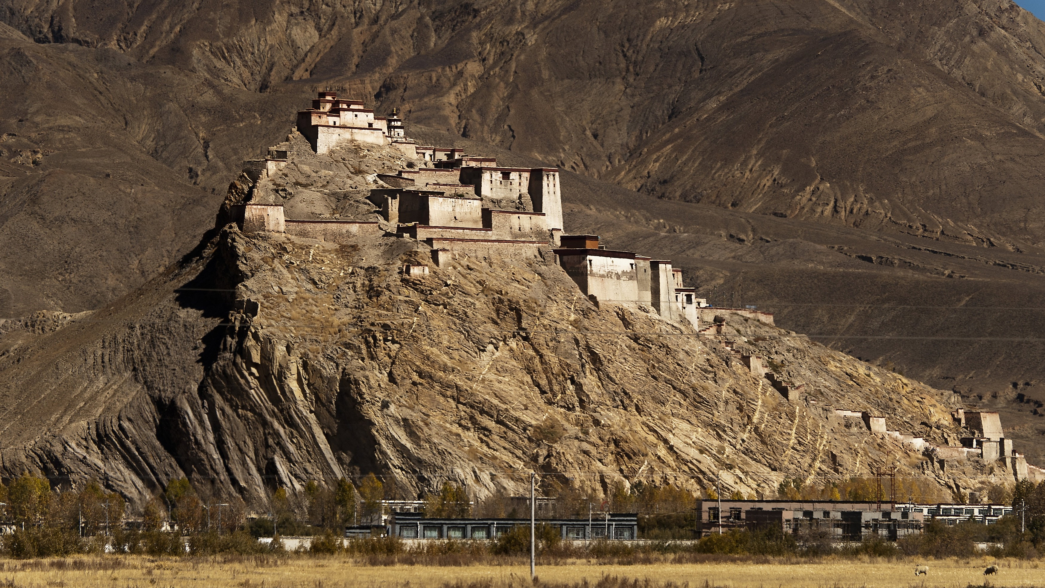 A Year in Tibet backdrop