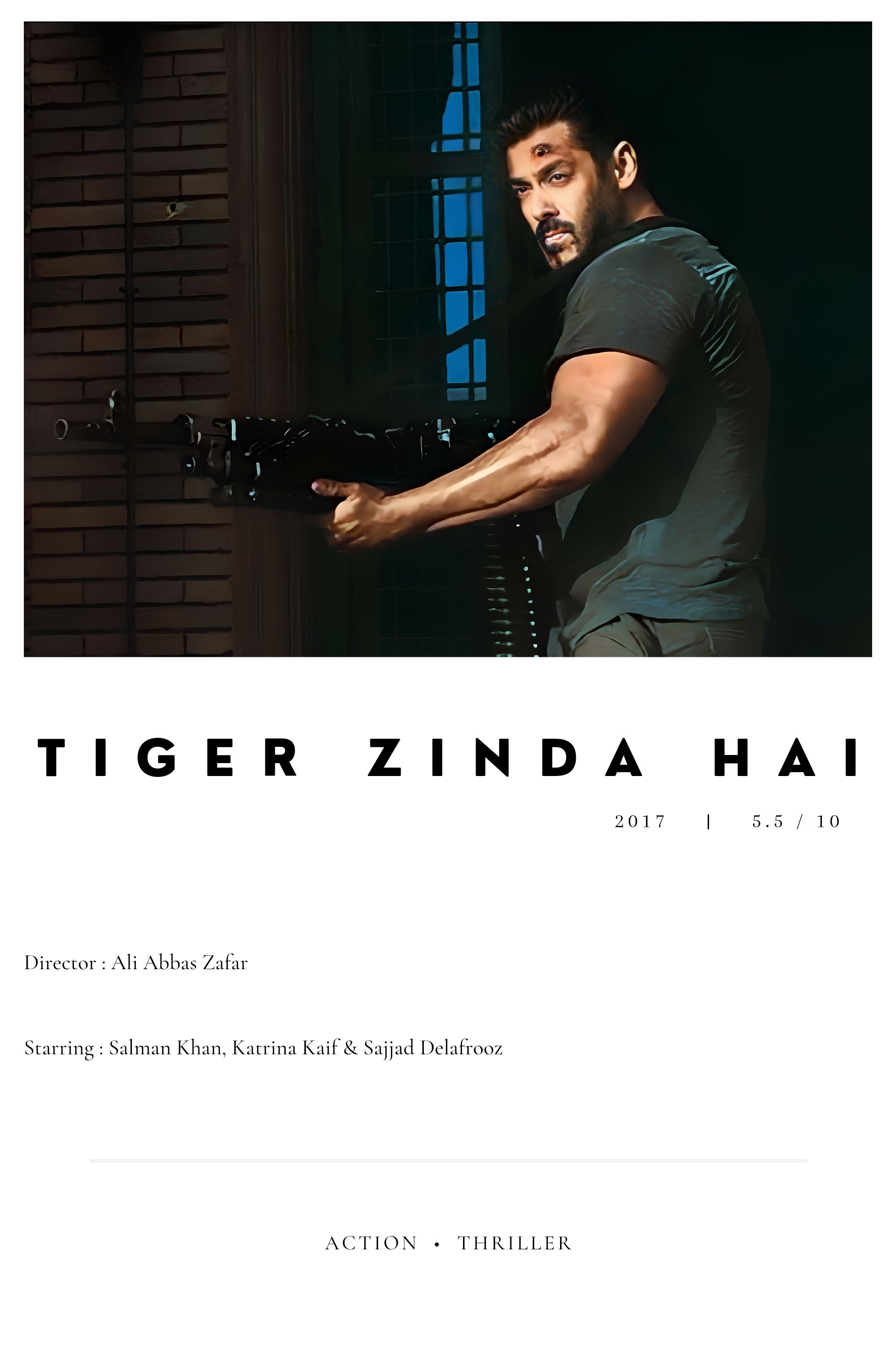 Affiche du film Tiger Zinda Hai 24219