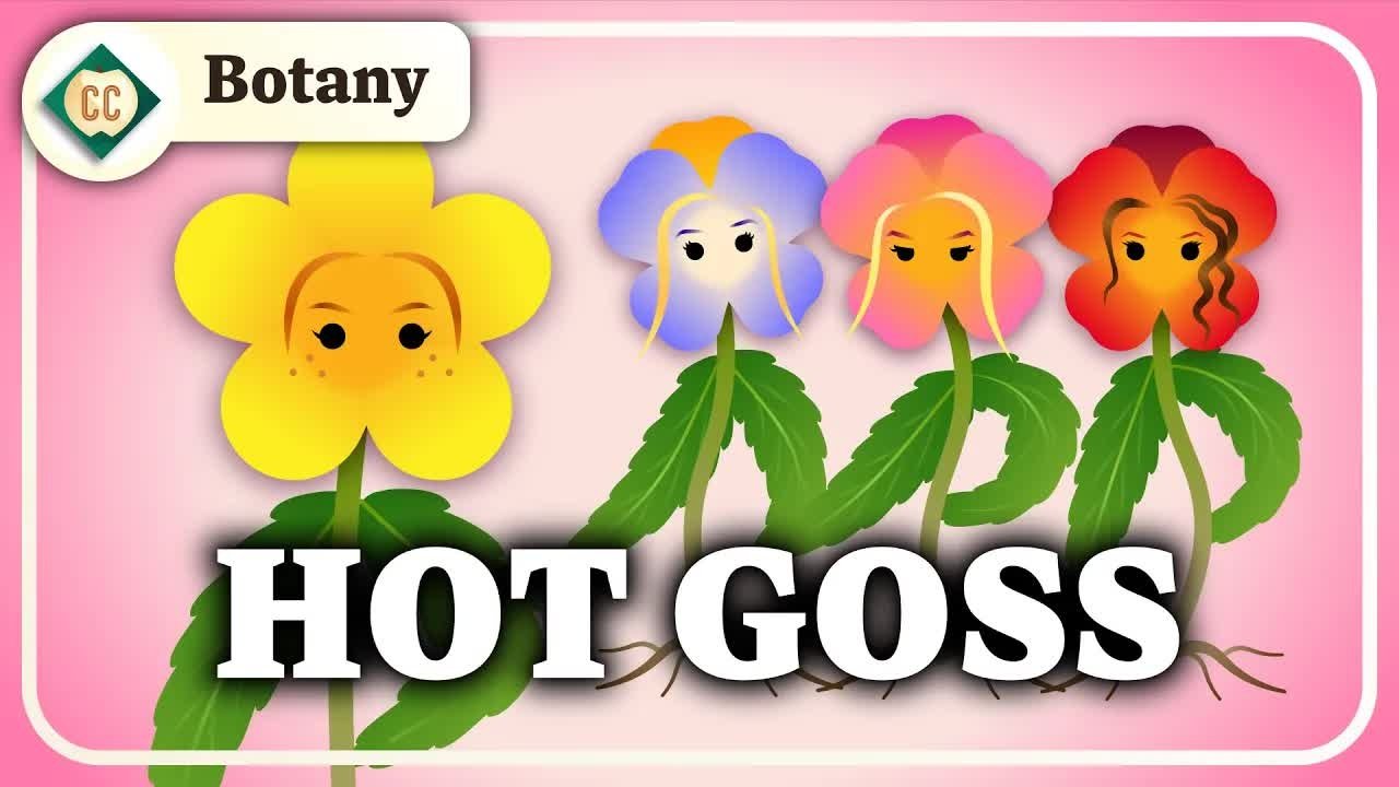Thumbnail for The Secret Social Lives of Plants (Population & Community Ecology) Season 1 Episode 12