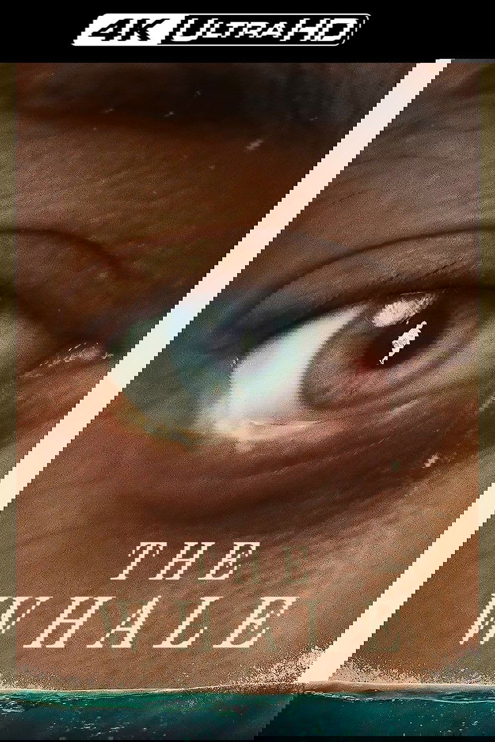 The Whale