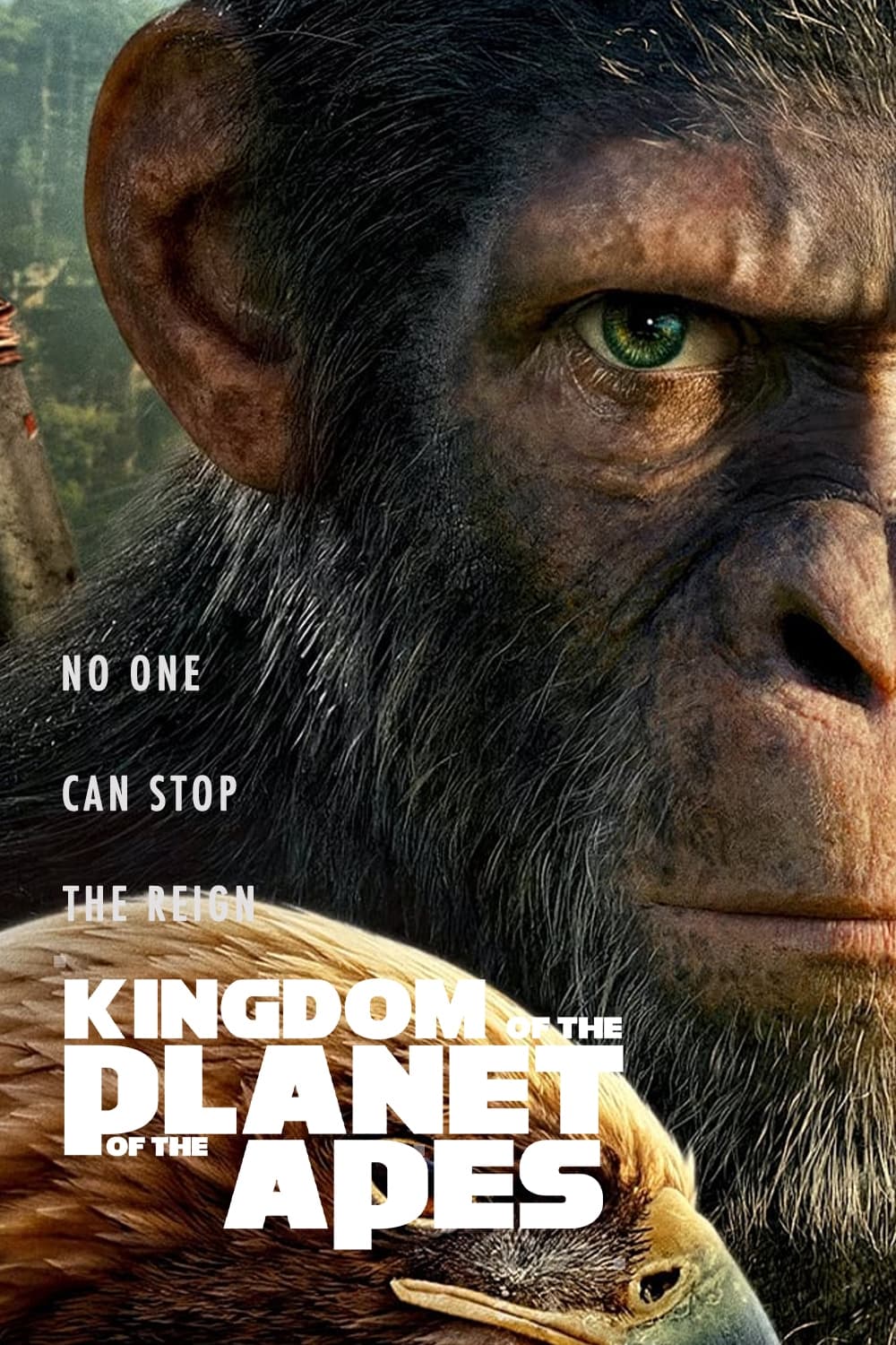 Kingdom of the Planet of the Apes