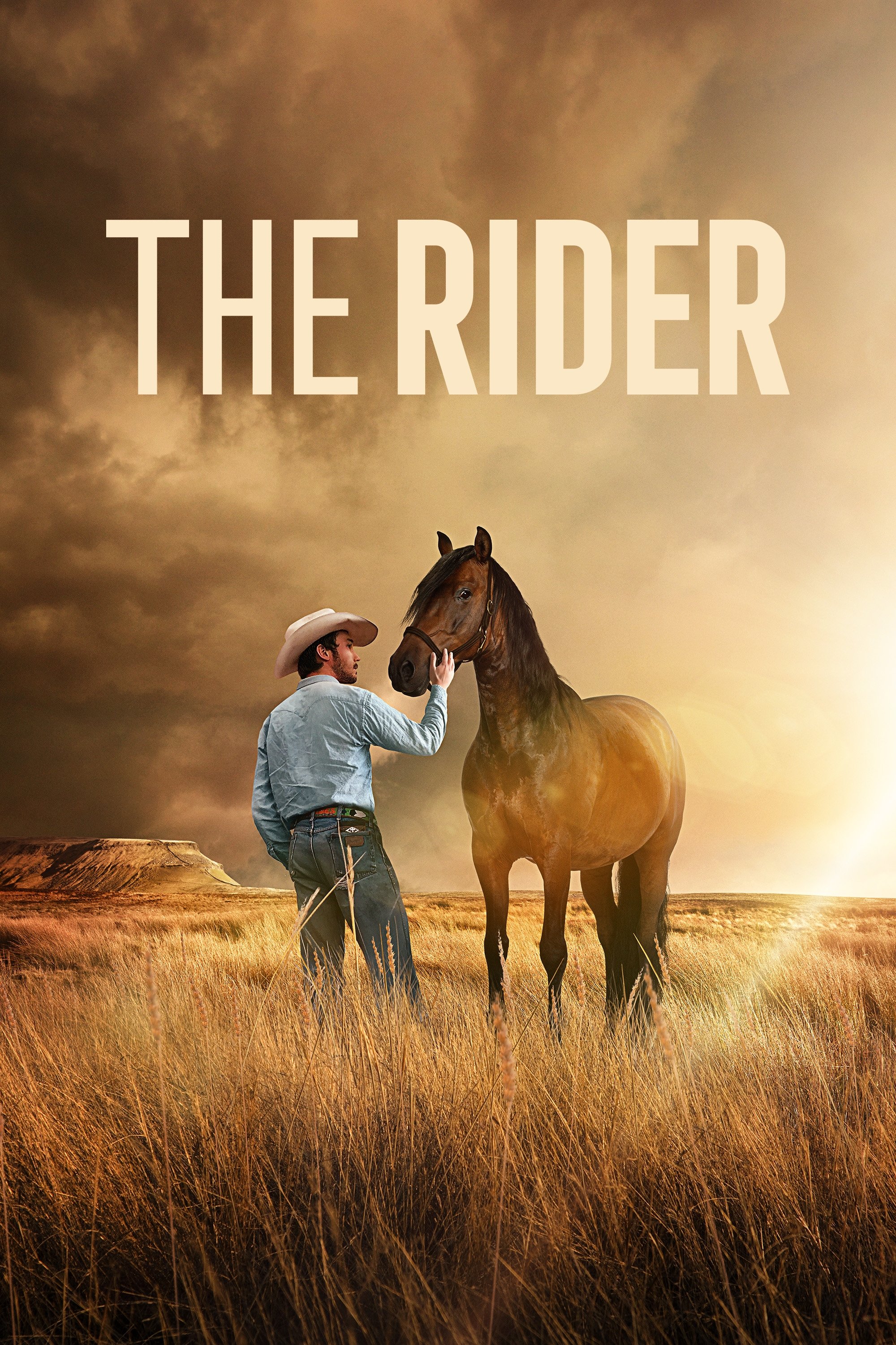 The Rider Película Completa HD 1080p [MEGA] [LATINO] 2017