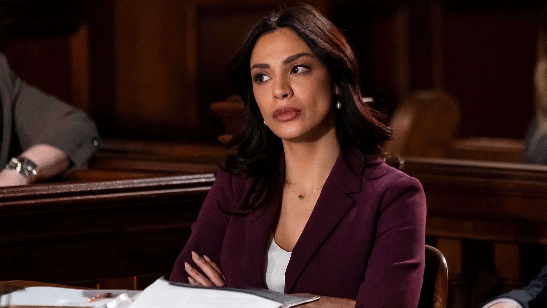 Law & Order Season 23 :Episode 13  In Harm's Way