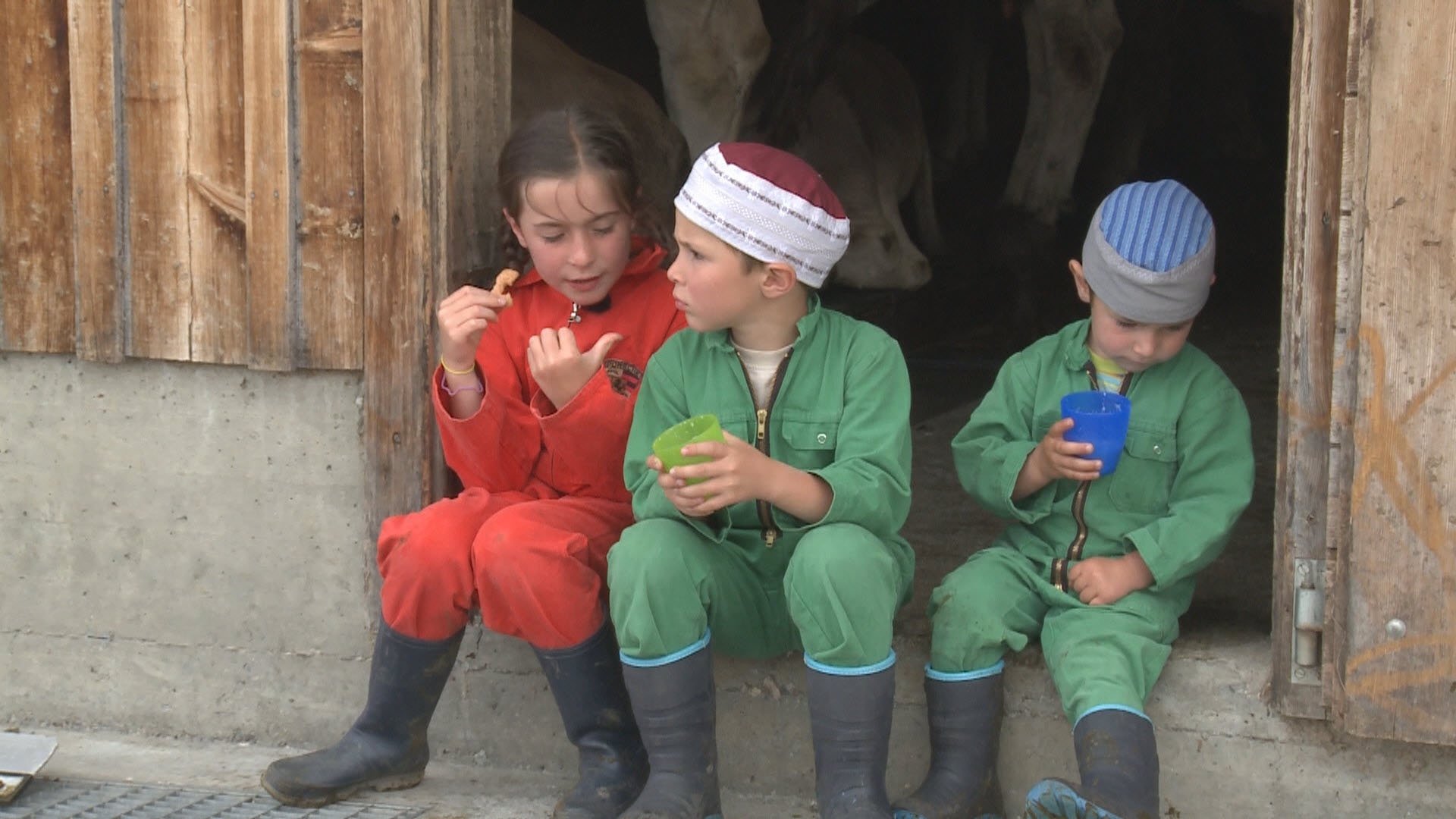 Imagem do Filme Kühe, Käse und 3 Kinder