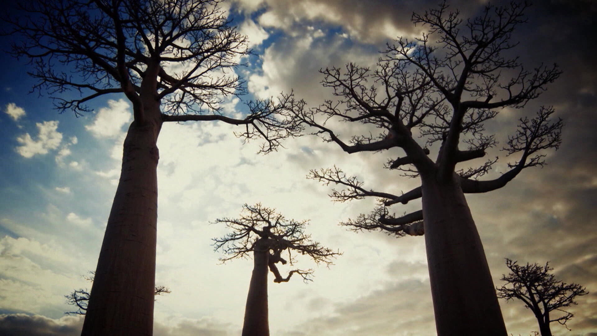 Earth Odyssey with Dylan Dreyer S03E33 backdrop