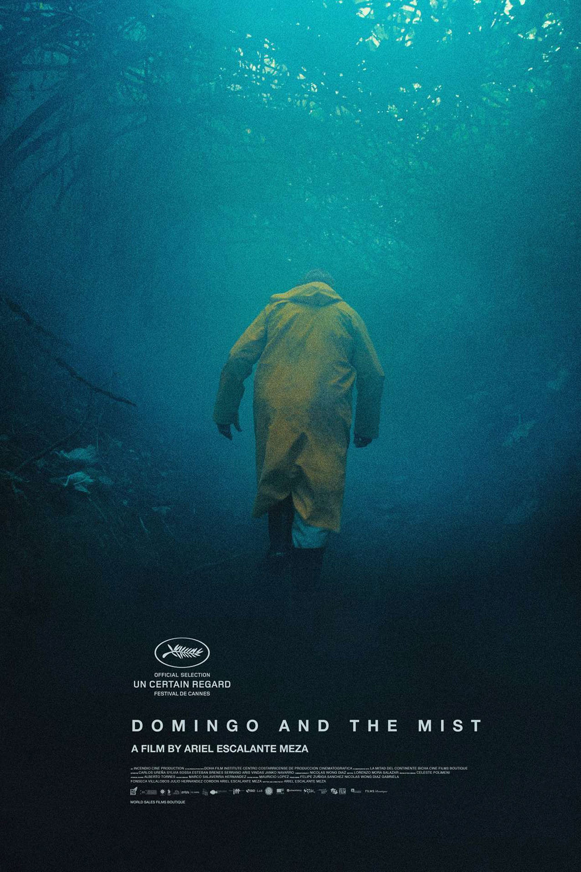 Domingo and the Mist