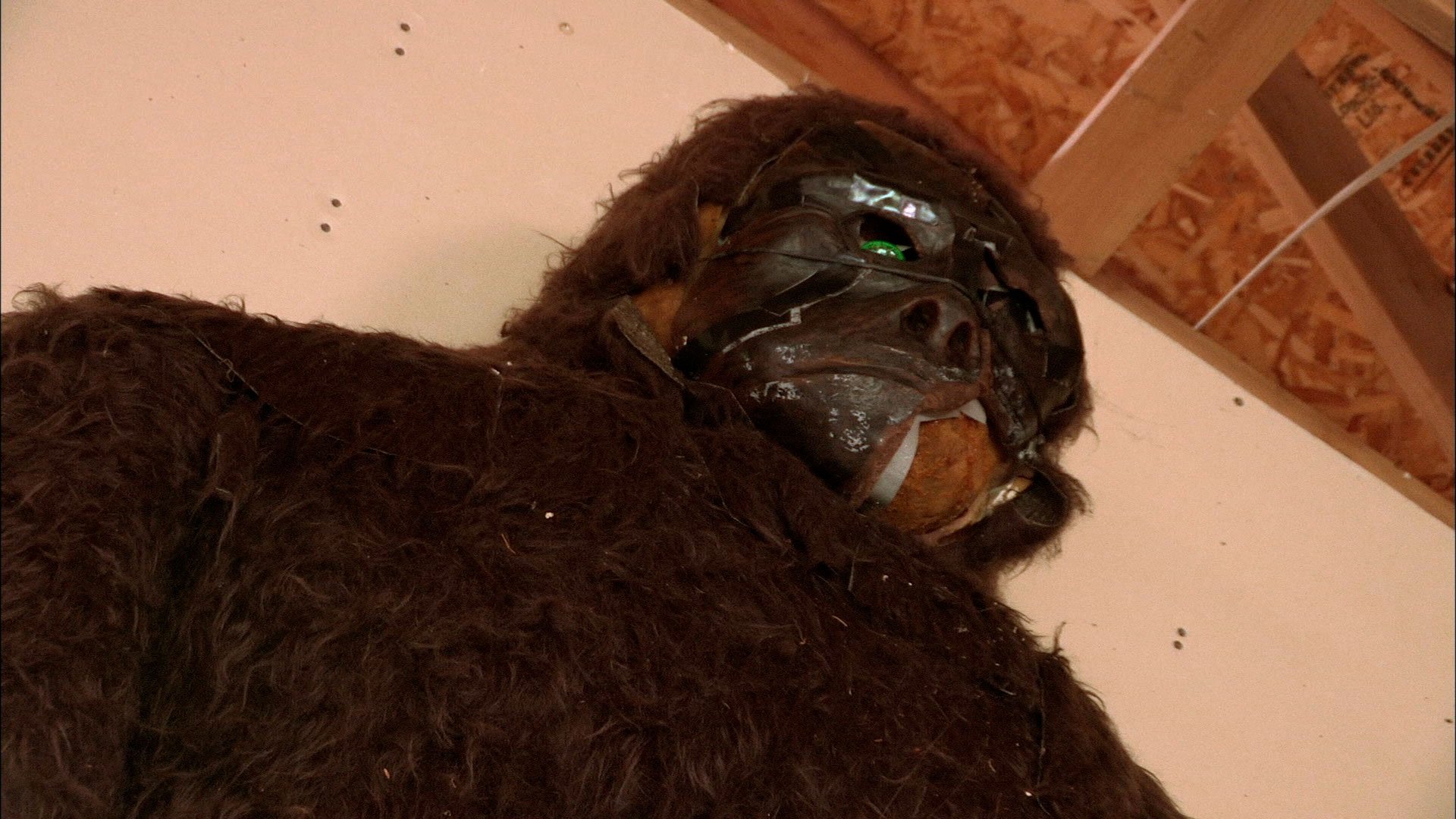Thumbnail for Searching for Bigfoot Season 1 Episode 5