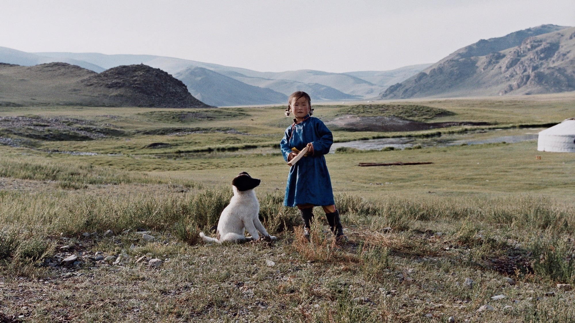 Image du film Le Chien jaune de Mongolie lc5calqhafhswgmty9obopzmmfcjpg