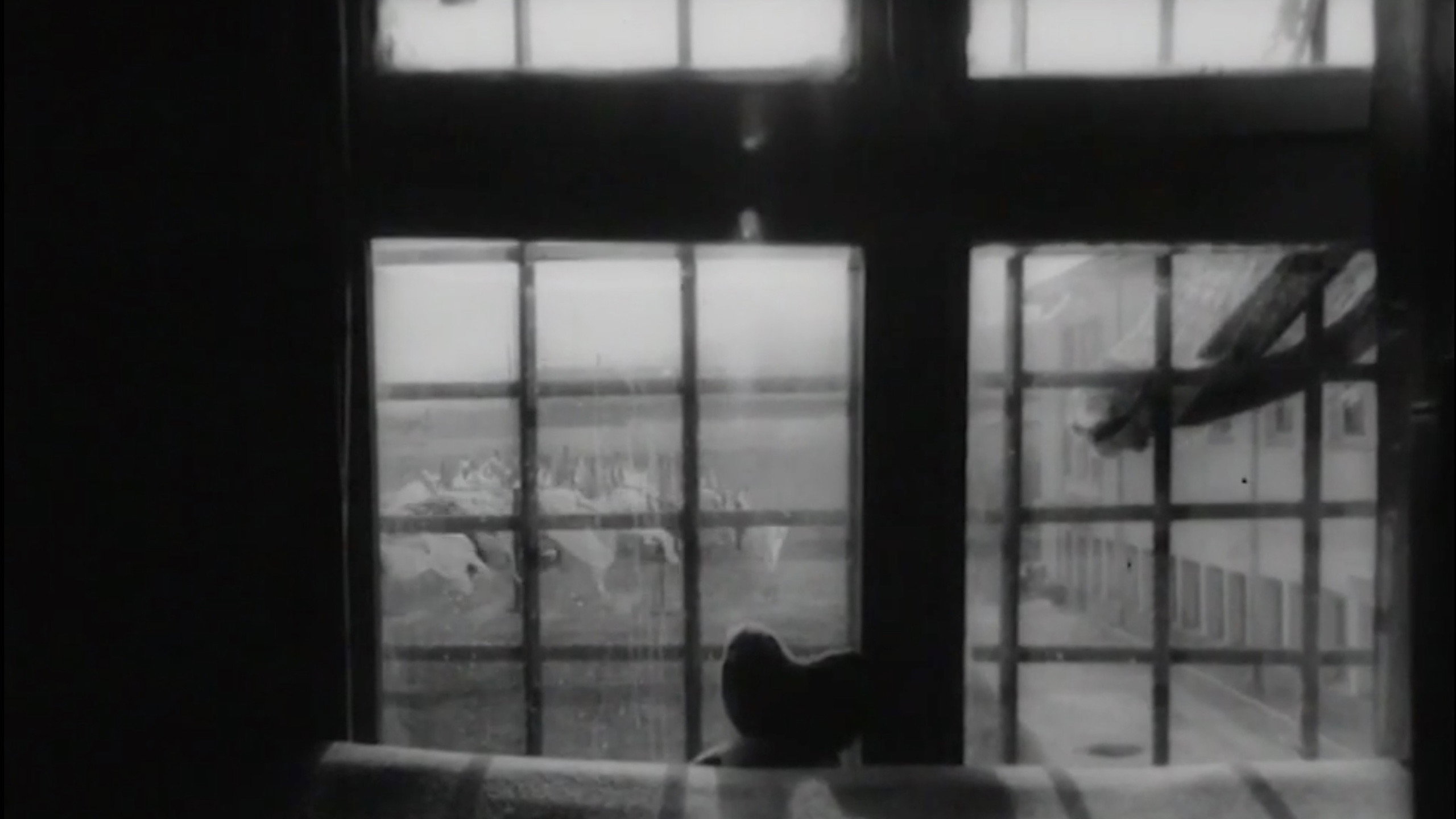 The Bright and Dark Side of Things