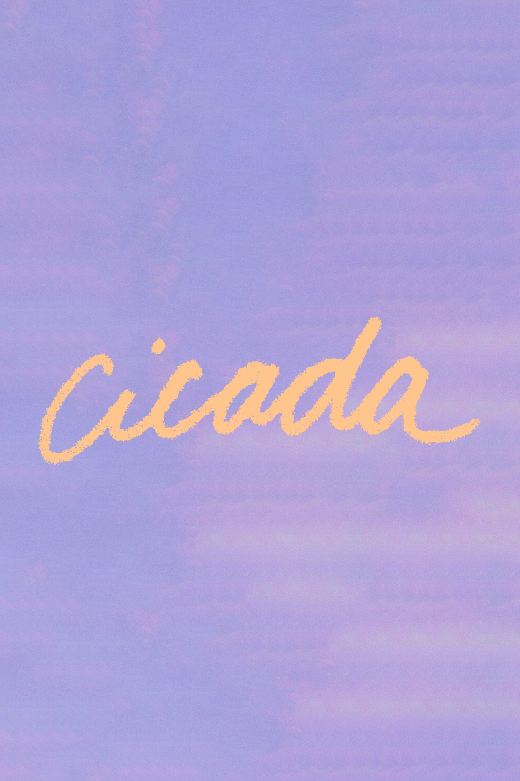 Cicada
