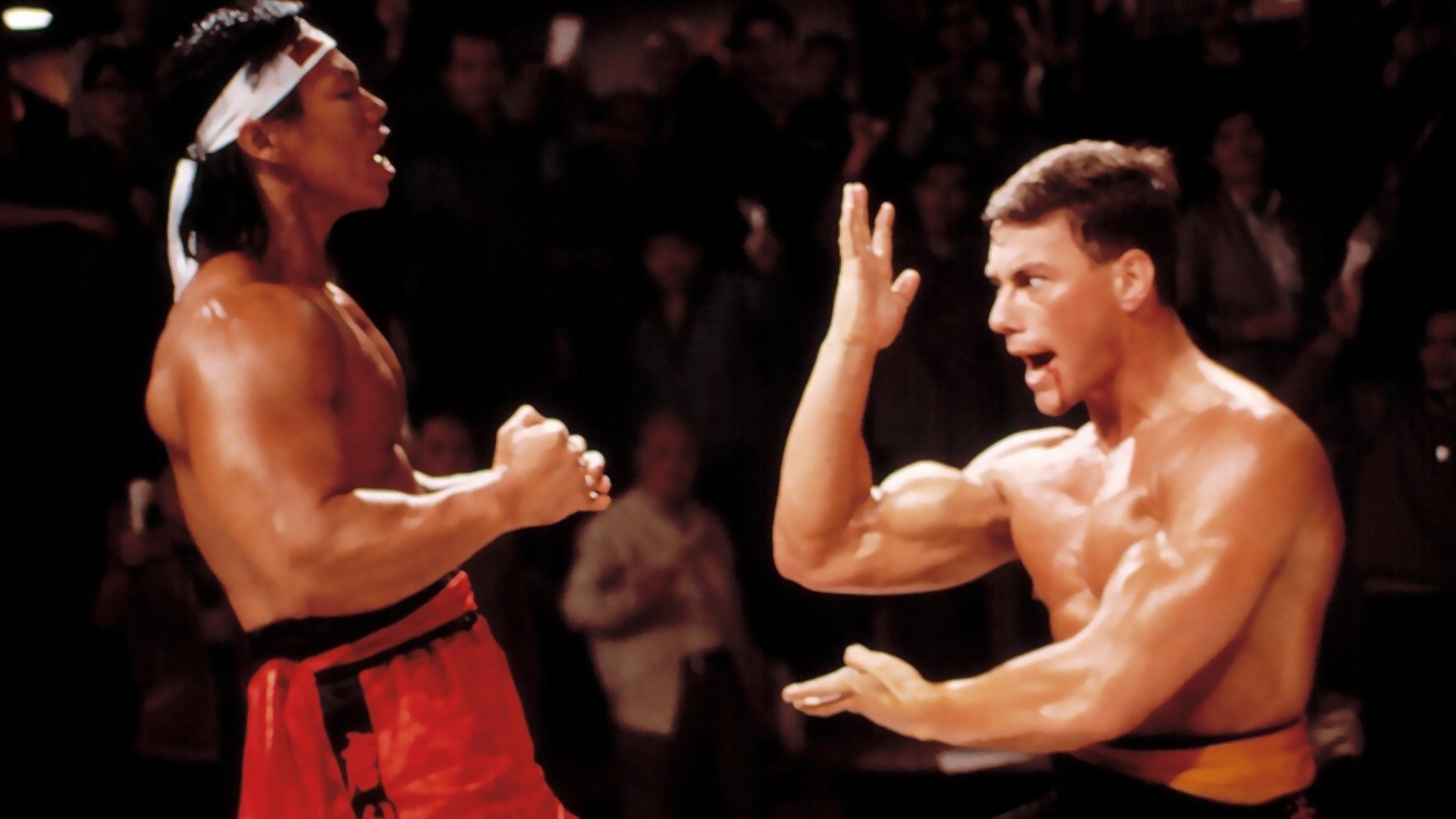 Bloodsport 2