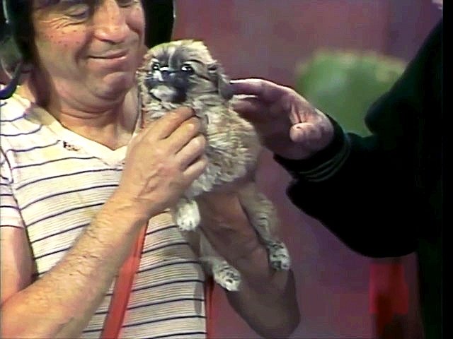 El Chavo del Ocho