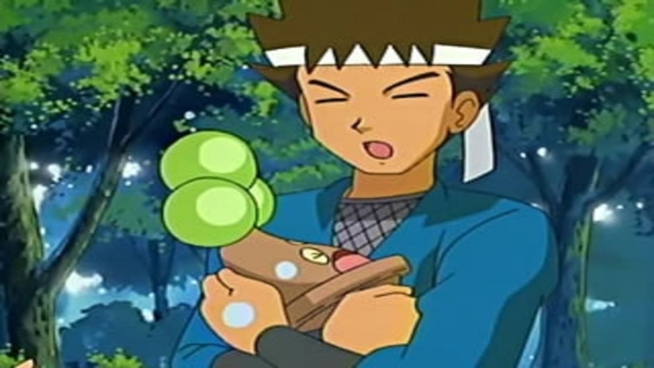 Pokémon - Staffel 9 Folge 11 (1970)