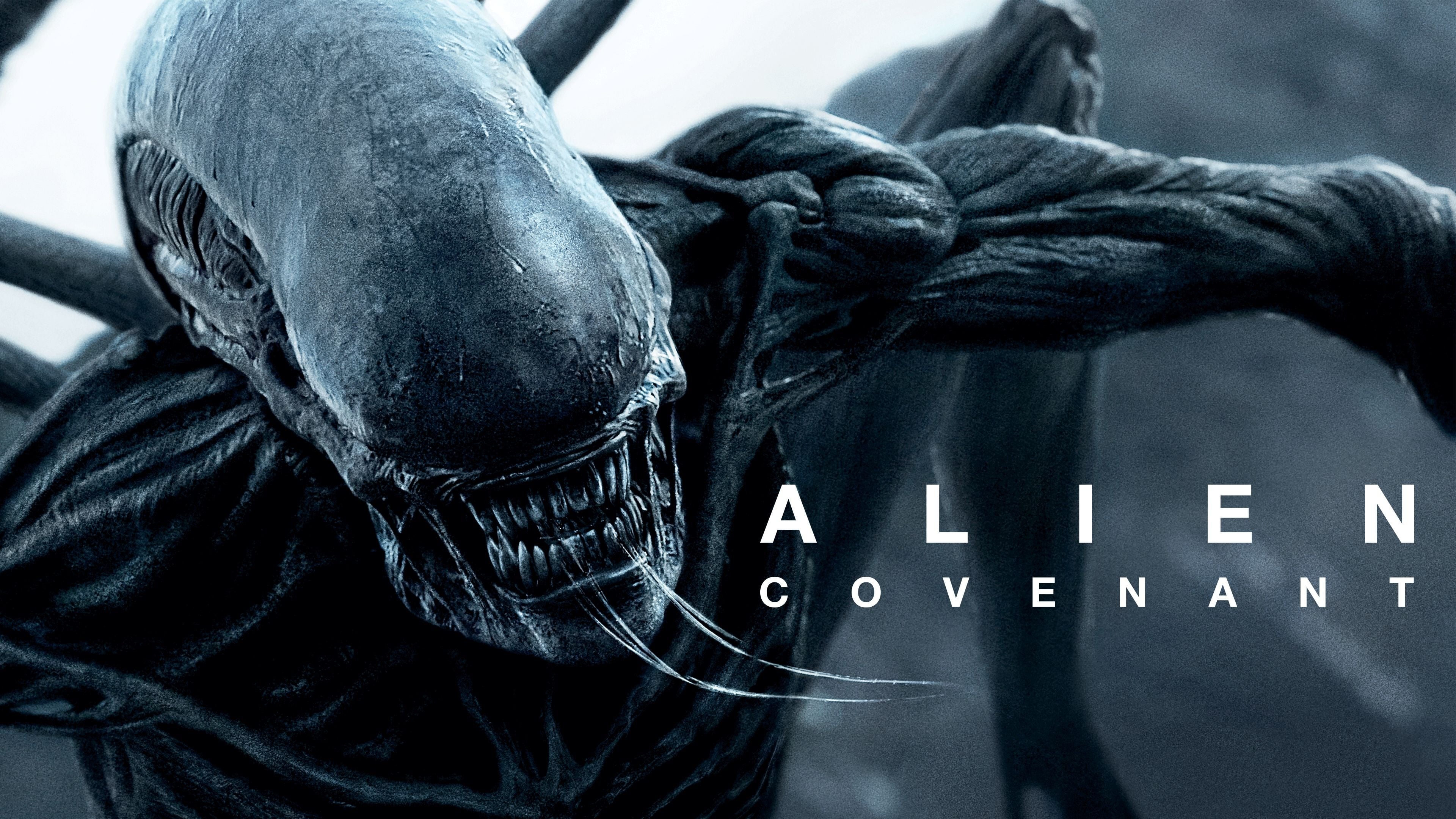 alien-covenant-espa-ol-latino-online-descargar-1080p