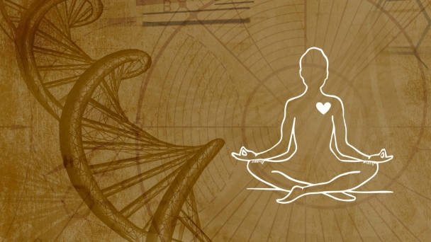 Thumbnail for Science of Manifesting Health Season 1 Episode 9