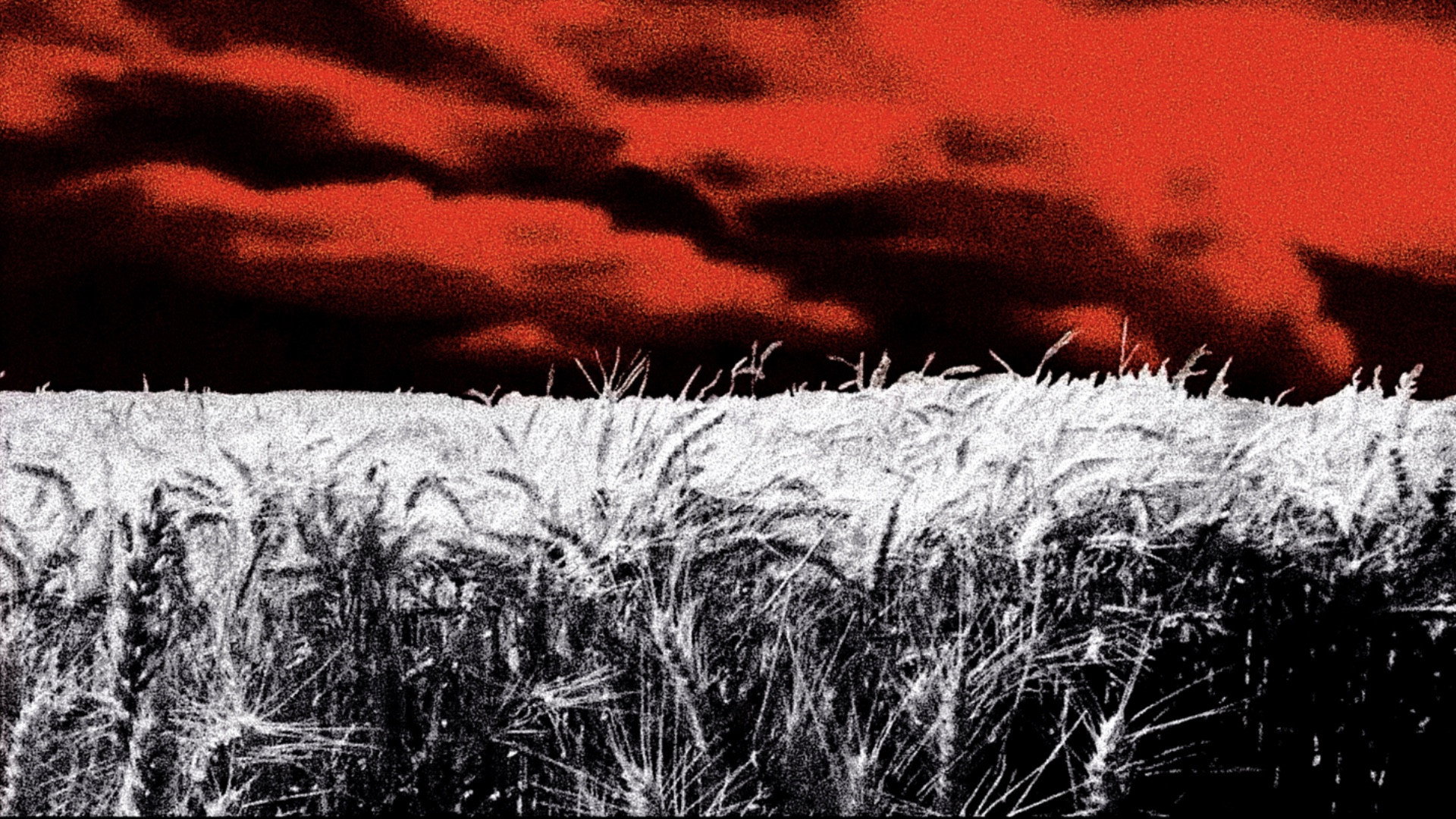 Purgatory for Epiphanea