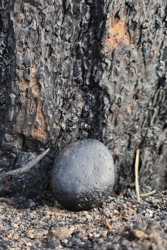 poster movie Scorched Stone, Rolling