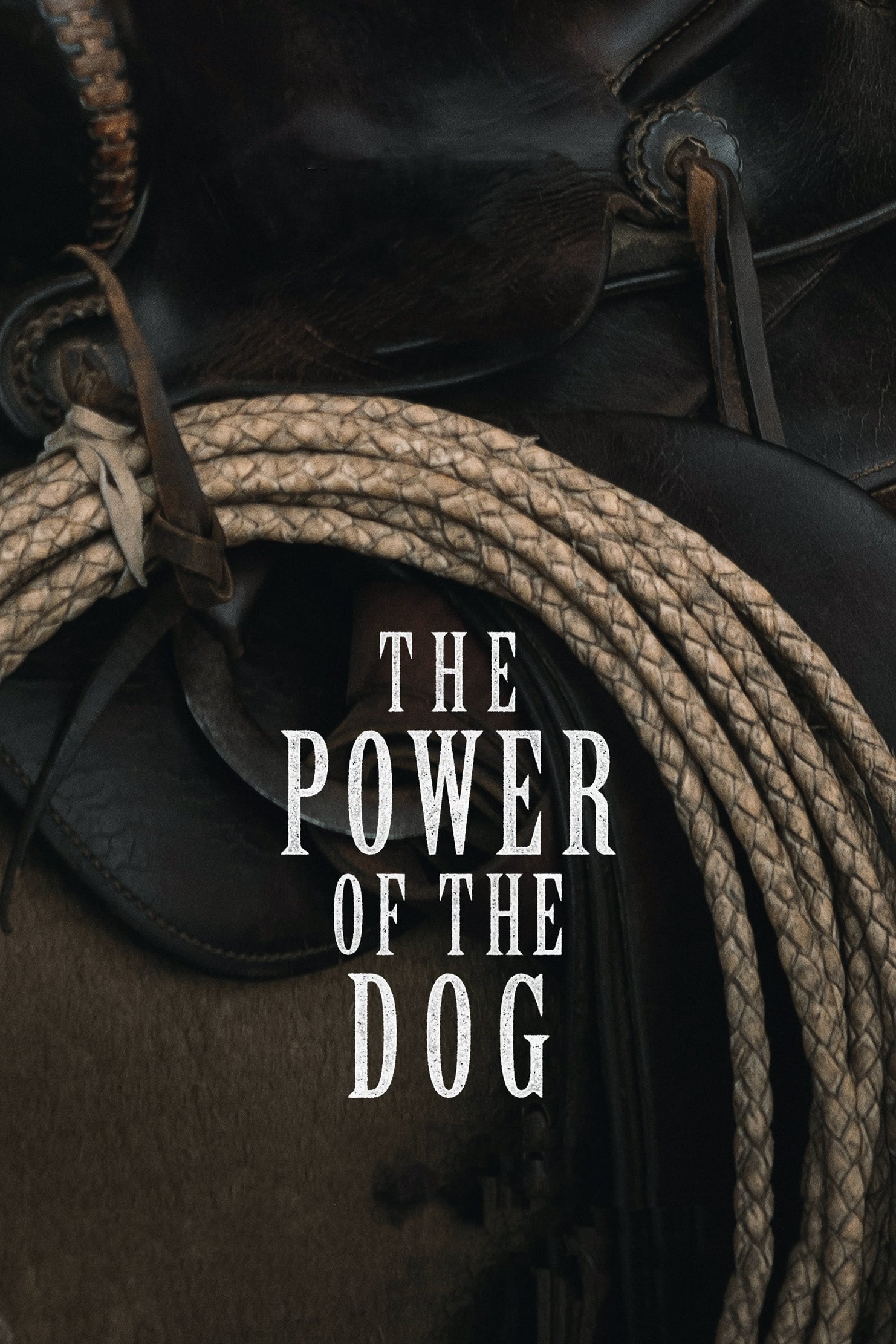 The Power of the Dog Movie poster