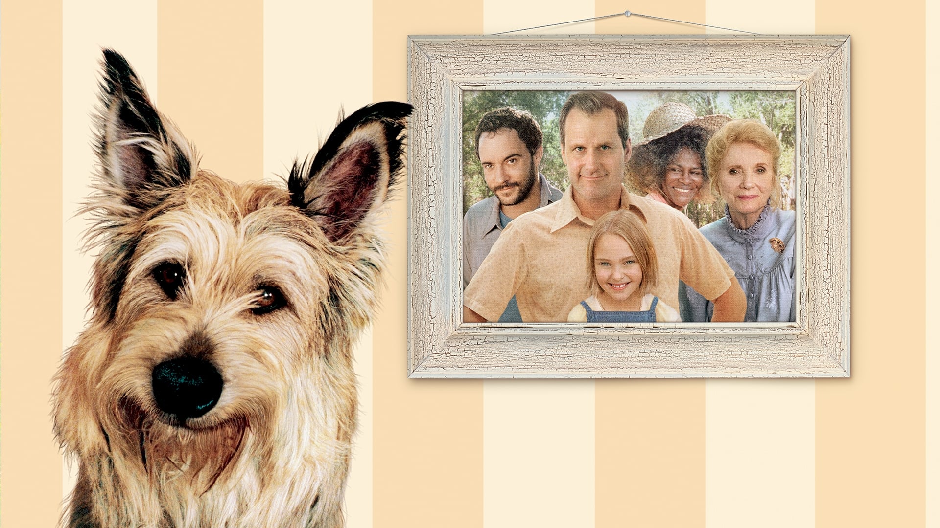 Watch Because Of Winn-Dixie (2005) : A Girl, Abandoned By Her Mother When S...