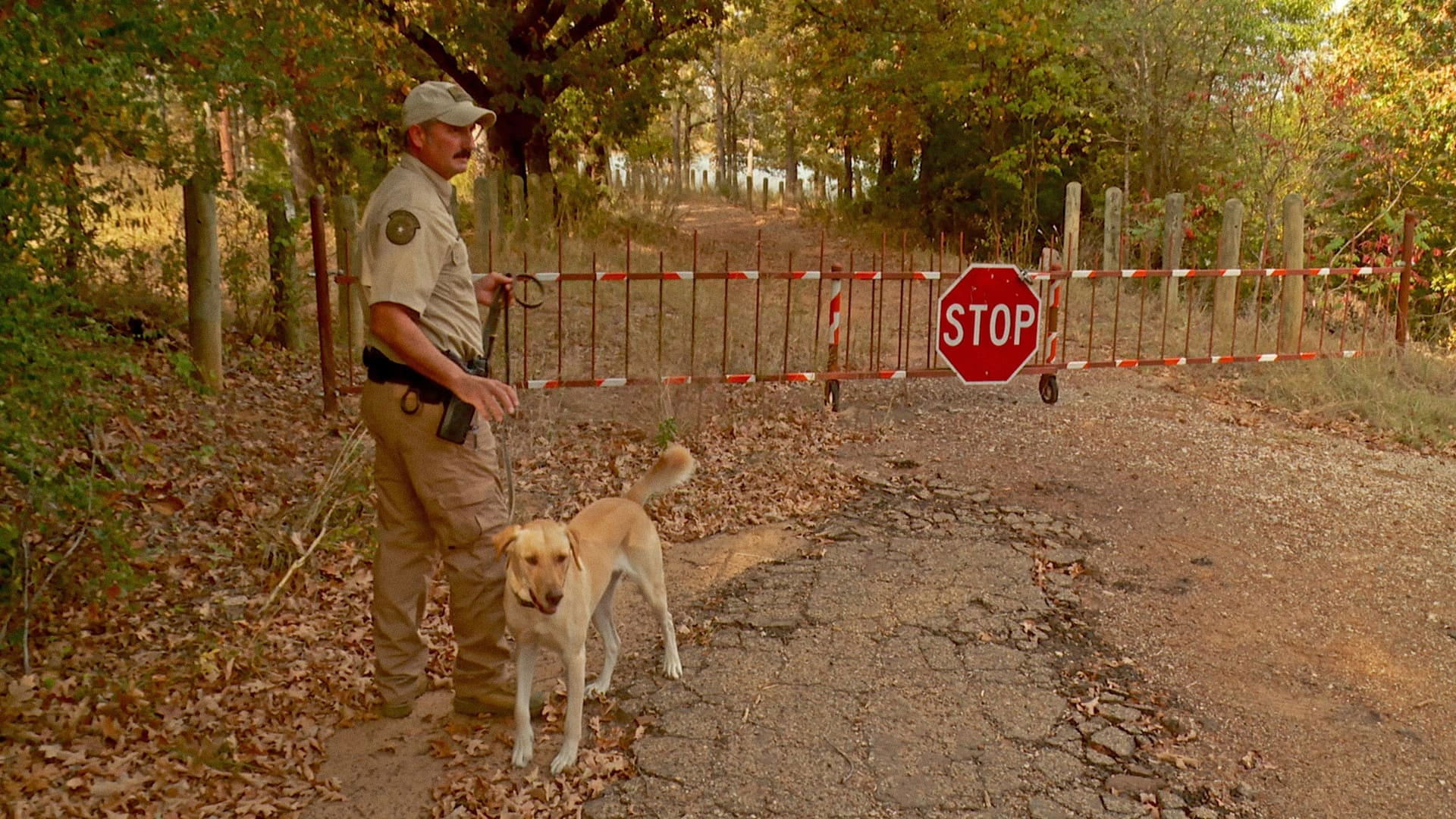 Lone Star Law S02E10 backdrop