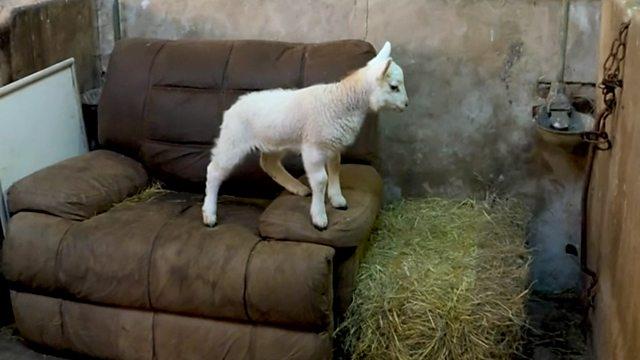 Countryfile 36x21
