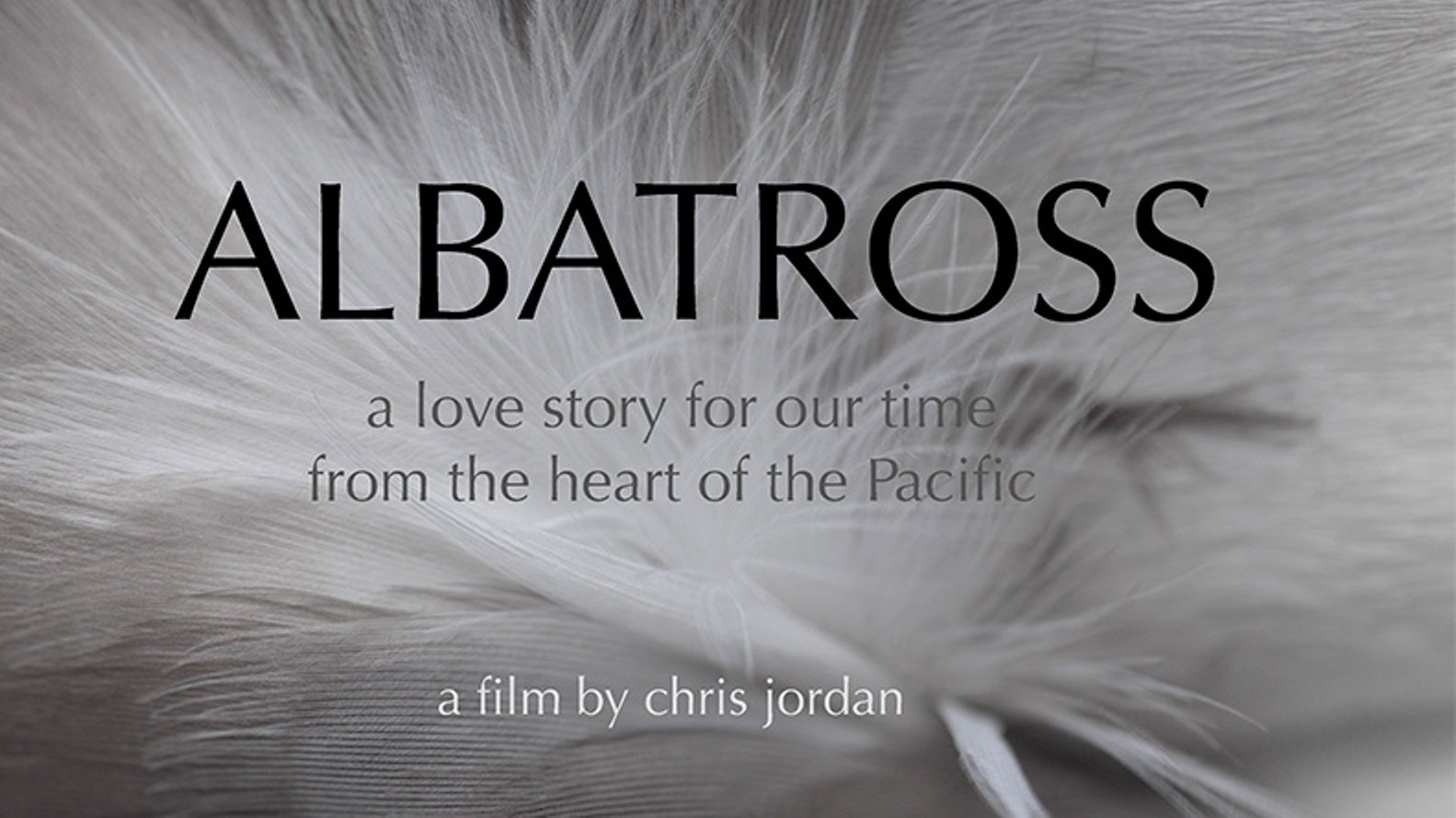 Albatross (2013)