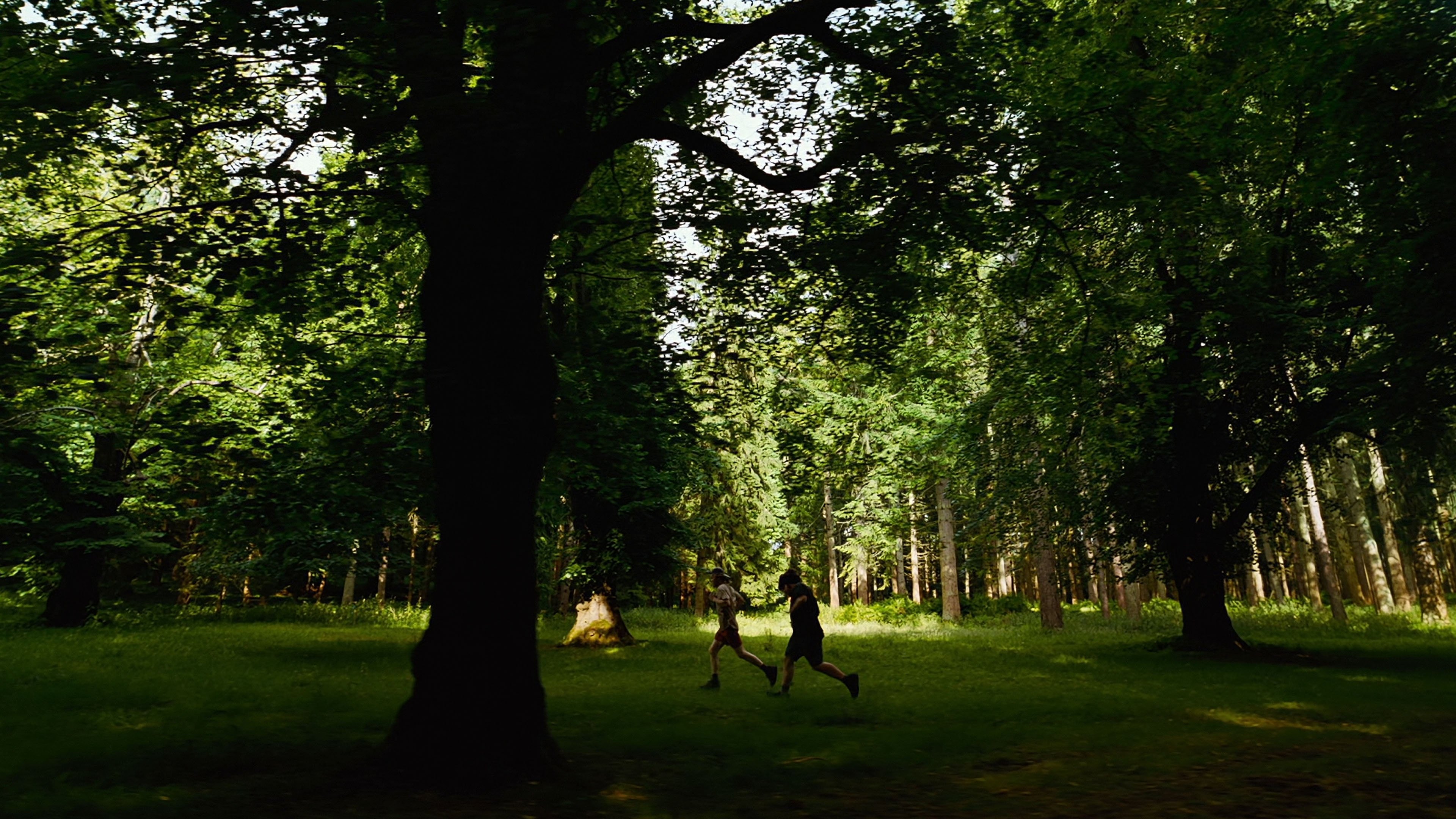 Caption: a couple of people running through a forest