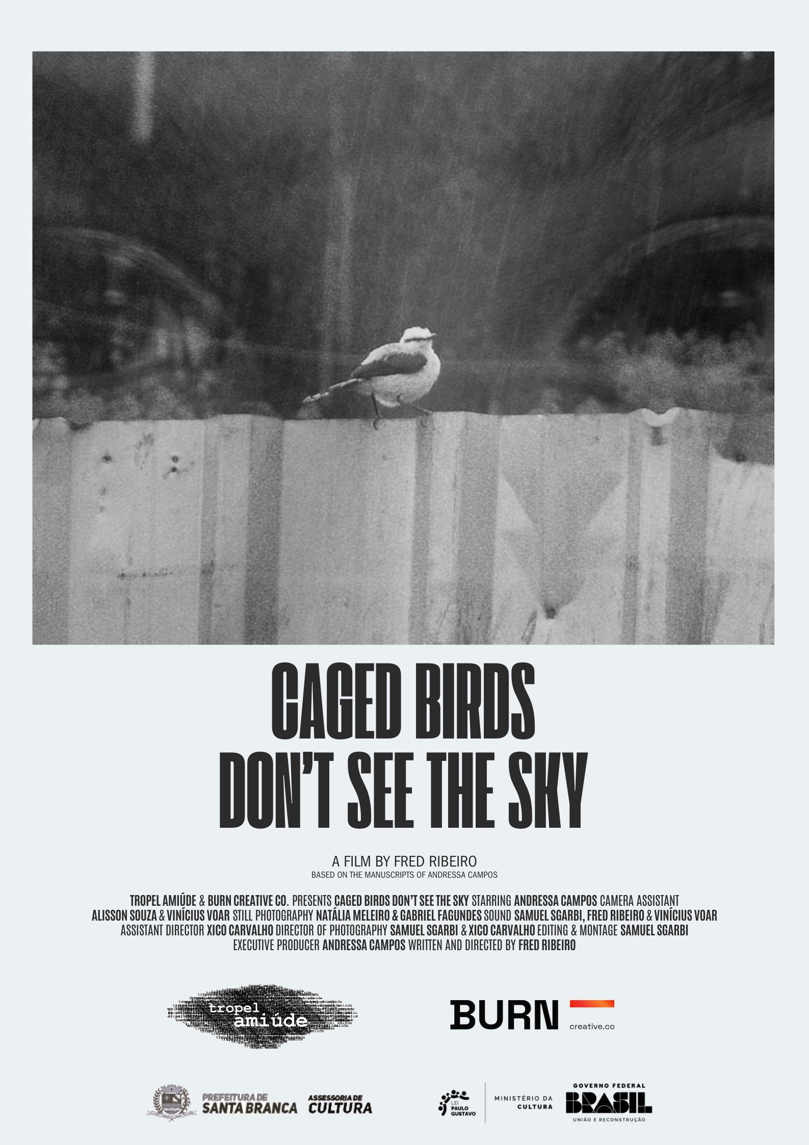 Pássaros Enjaulados Não Veem o Céu